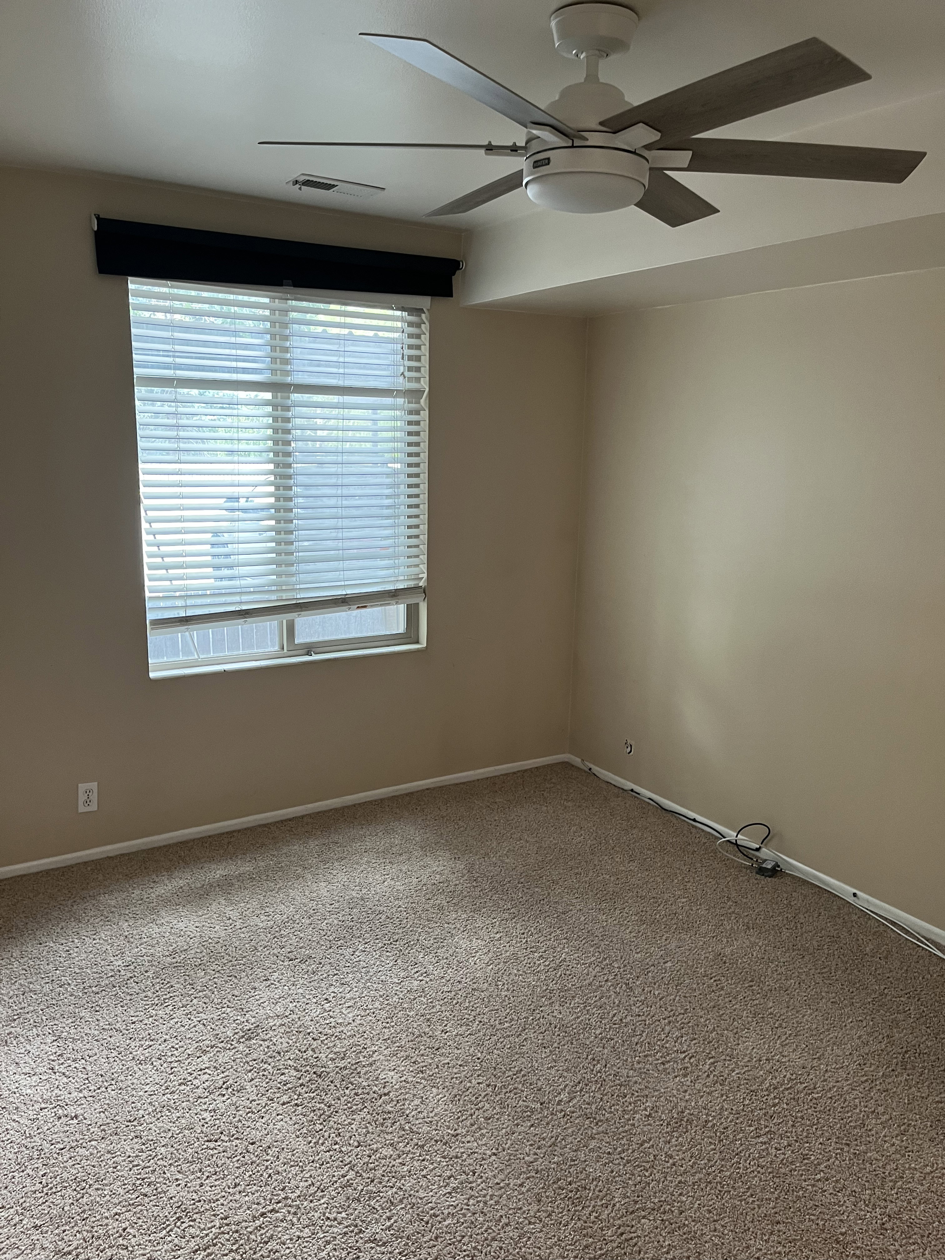 Carpeted room featuring a large window with blinds and a valance, and a ceiling fan with light fixture
