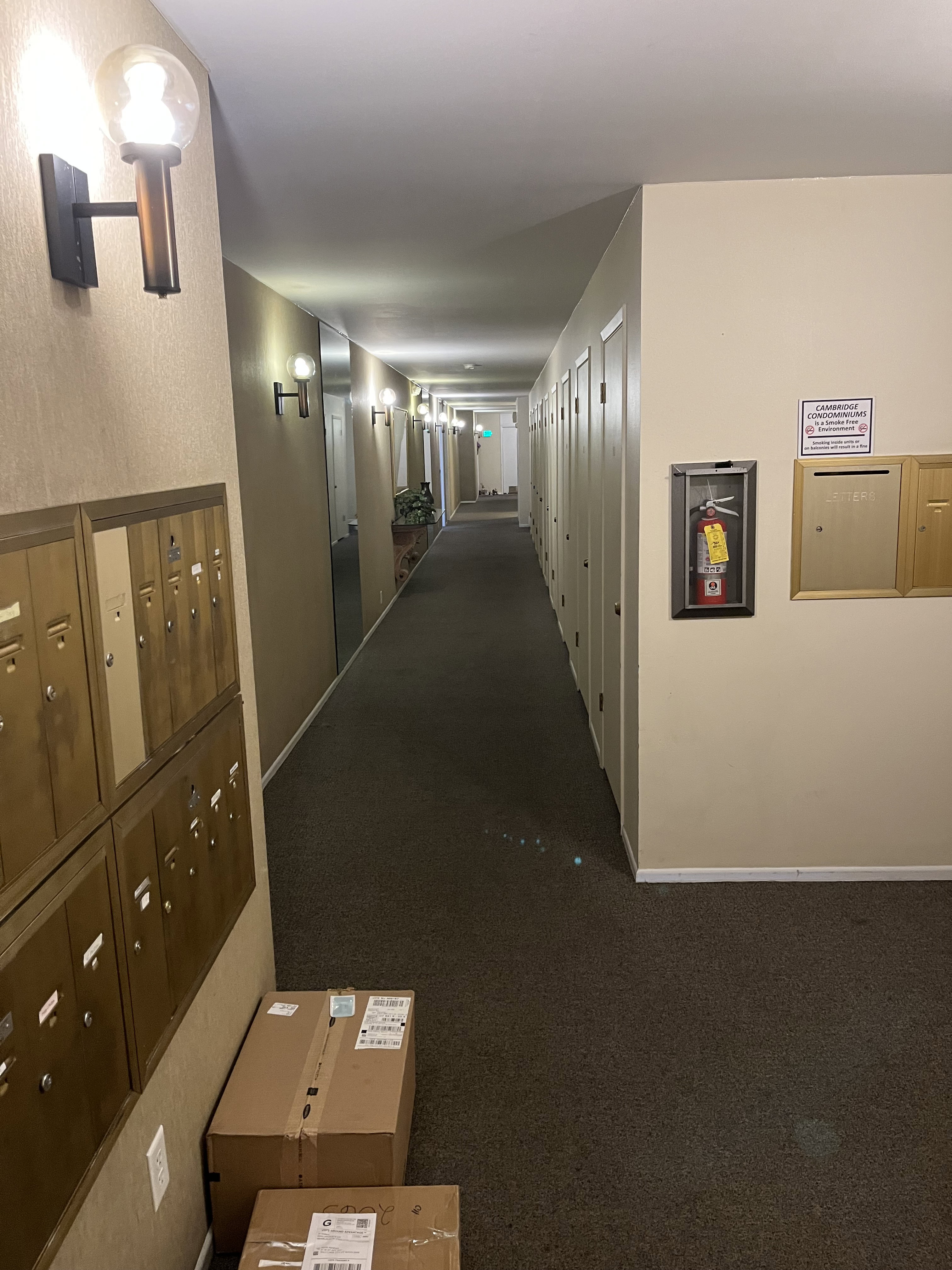 Common area hallway featuring wall-mounted sconces, neutral wall finishes, and a dark carpeted floor