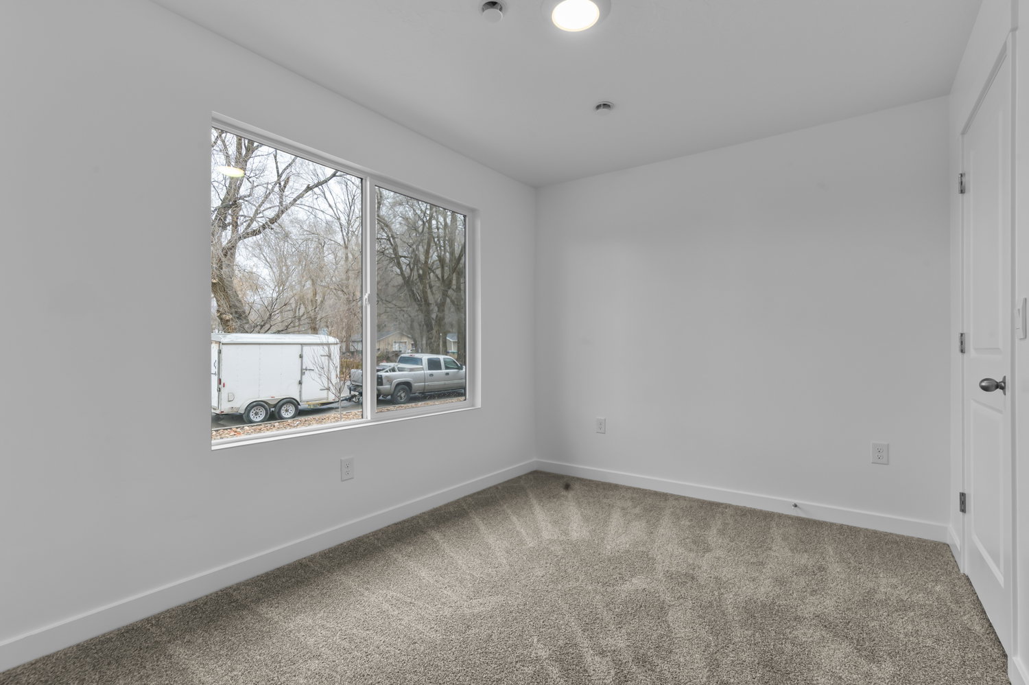 Room featuring a large window, neutral carpeting, white walls, and a ceiling-mounted light fixture