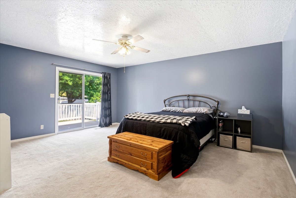 Spacious room featuring light-colored carpeting, blue painted walls, and a ceiling fan with integrated lighting