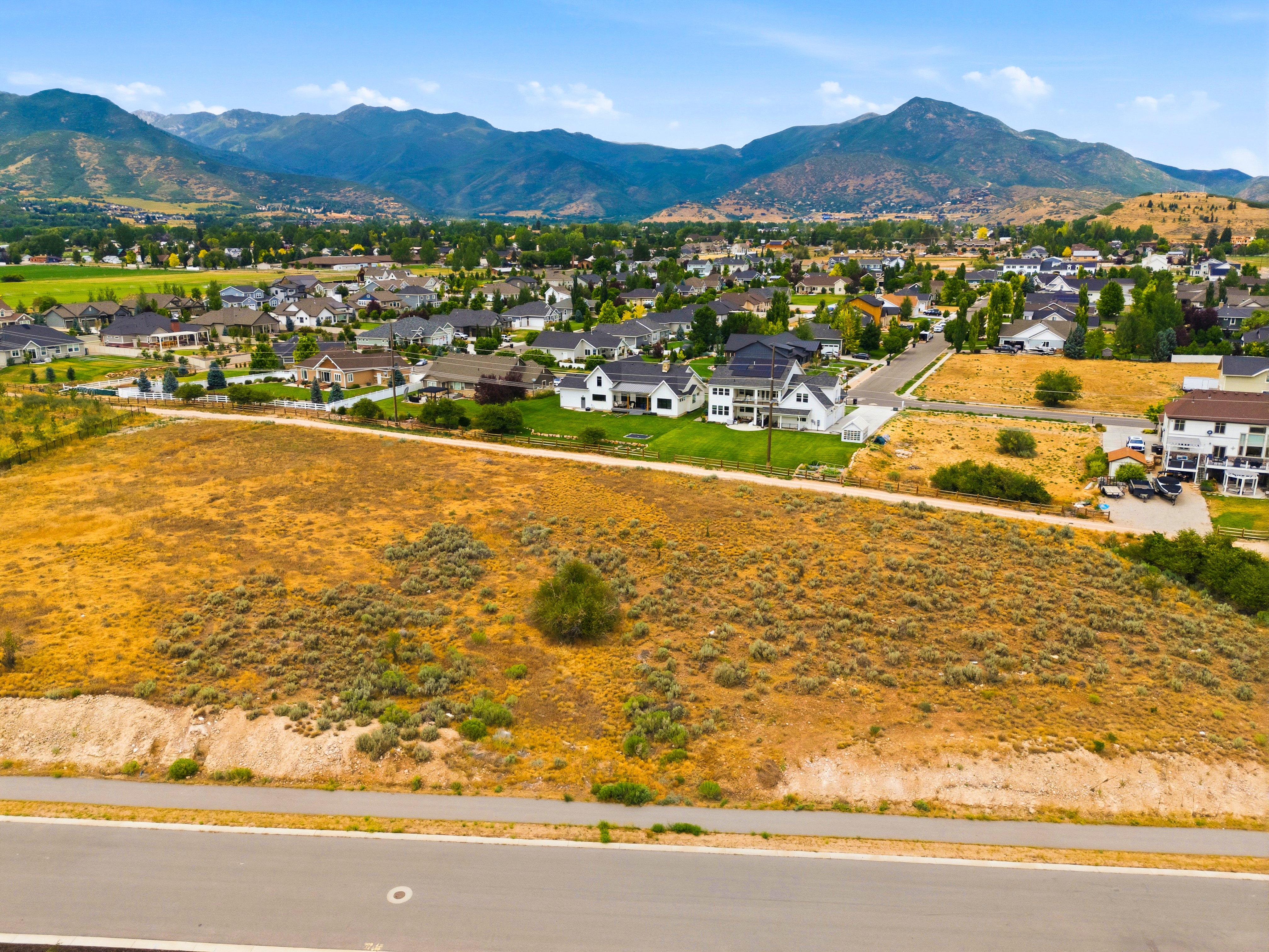 Expansive undeveloped parcel featuring natural vegetation and a visible paved road frontage