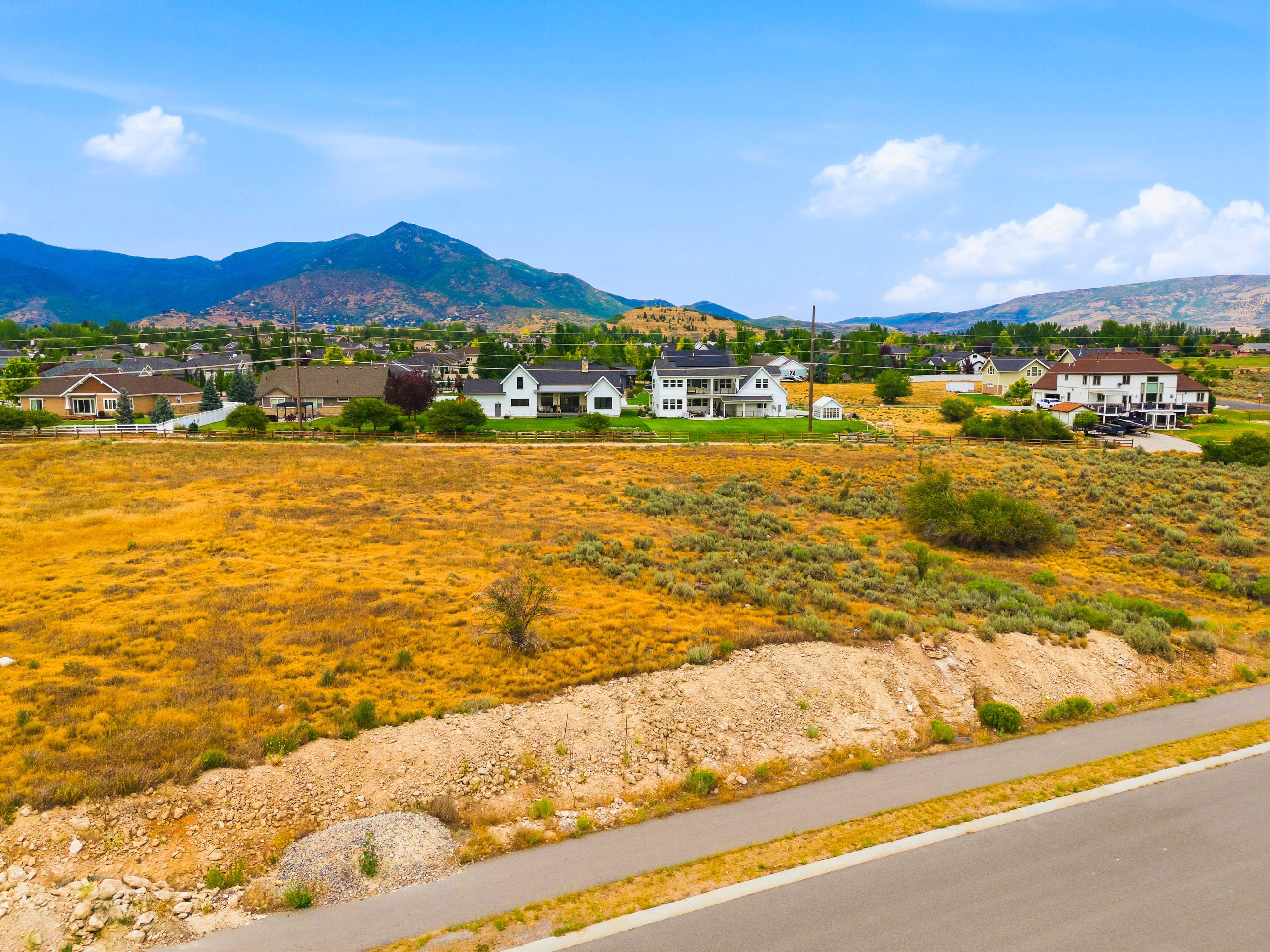 Expansive undeveloped land featuring natural flora and a paved roadway