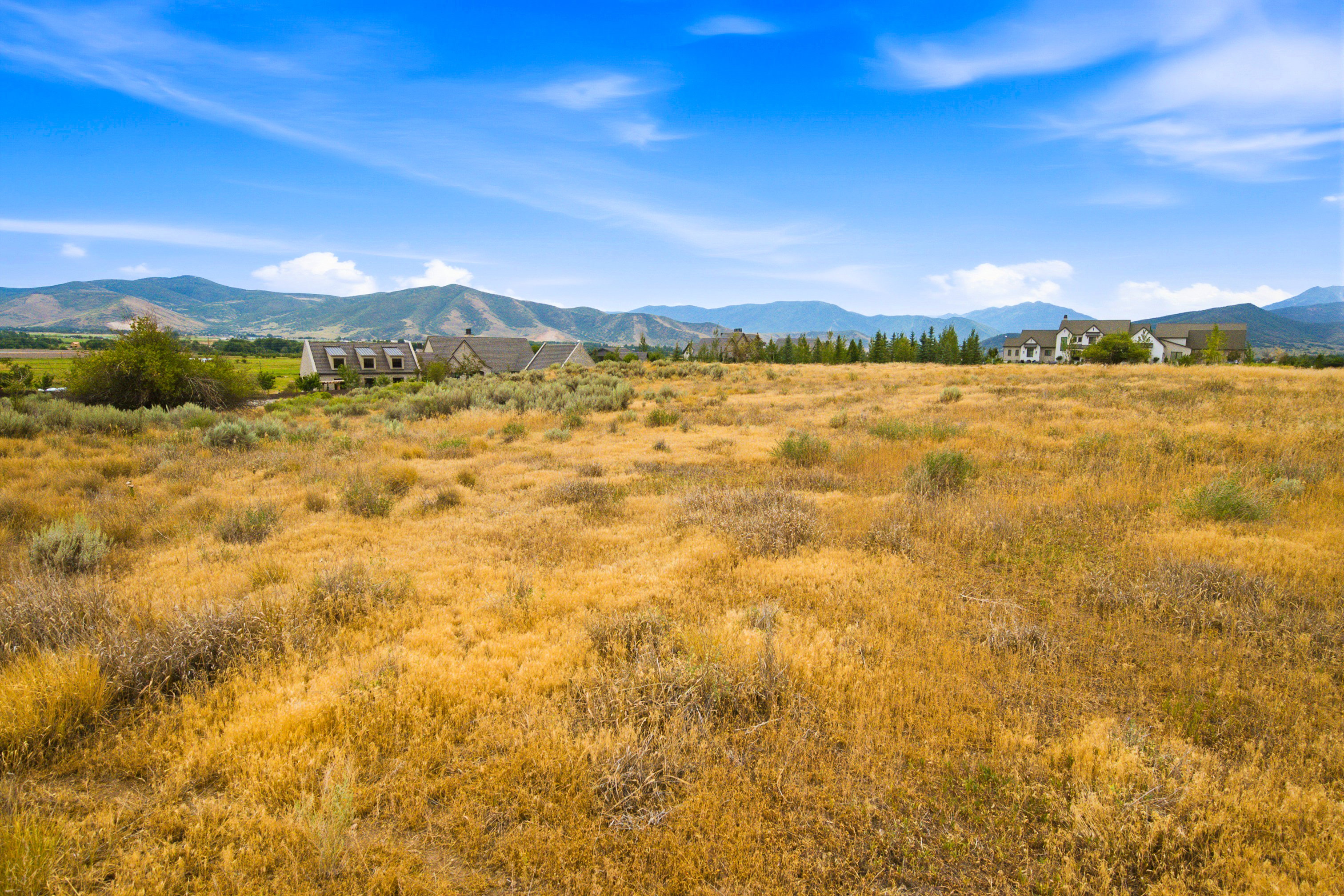 Expansive golden-toned field with natural vegetation, framed by distant mountains and a clear blue sky