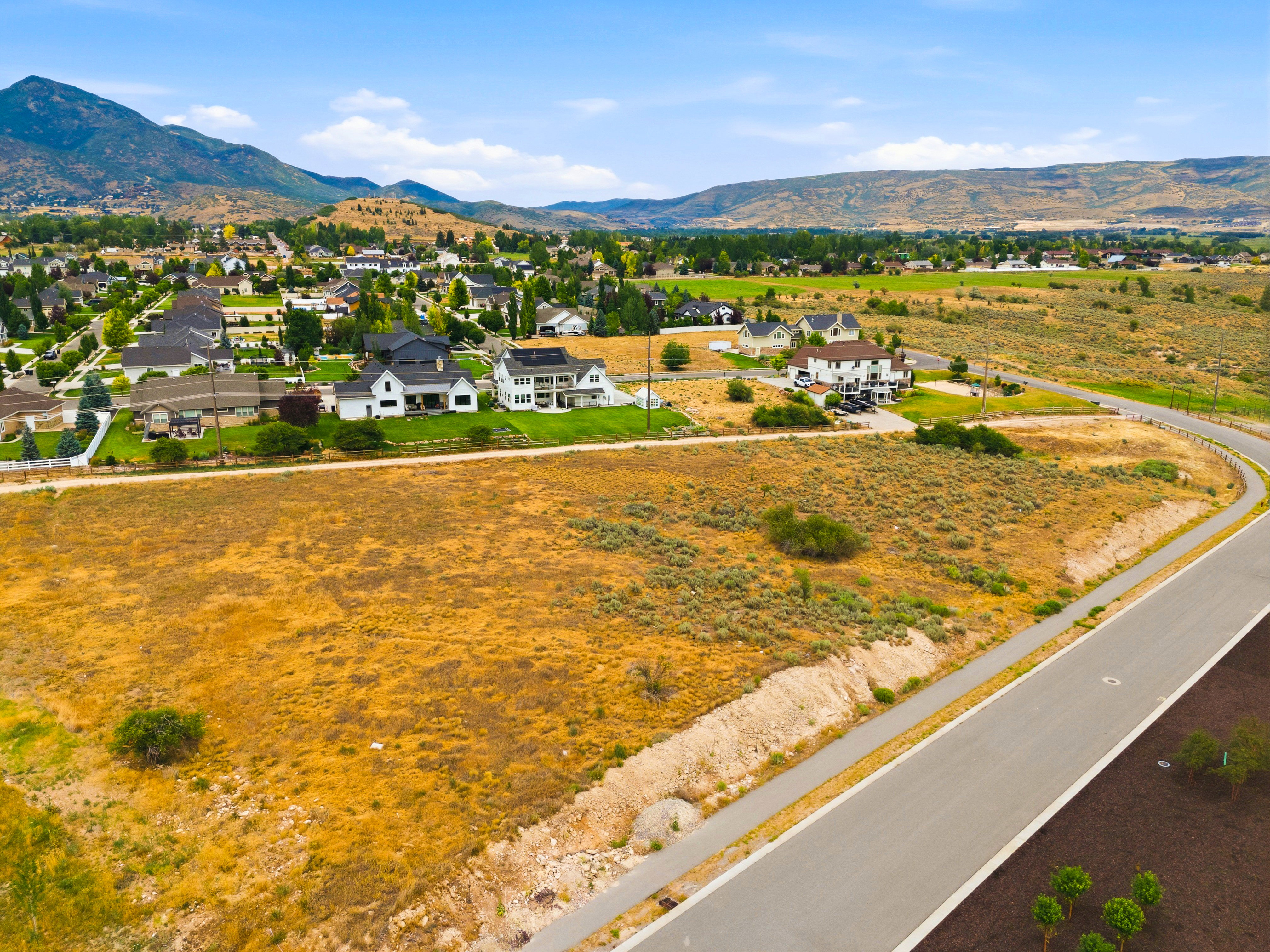 Expansive undeveloped parcel featuring a paved road, curbing, and established landscaping