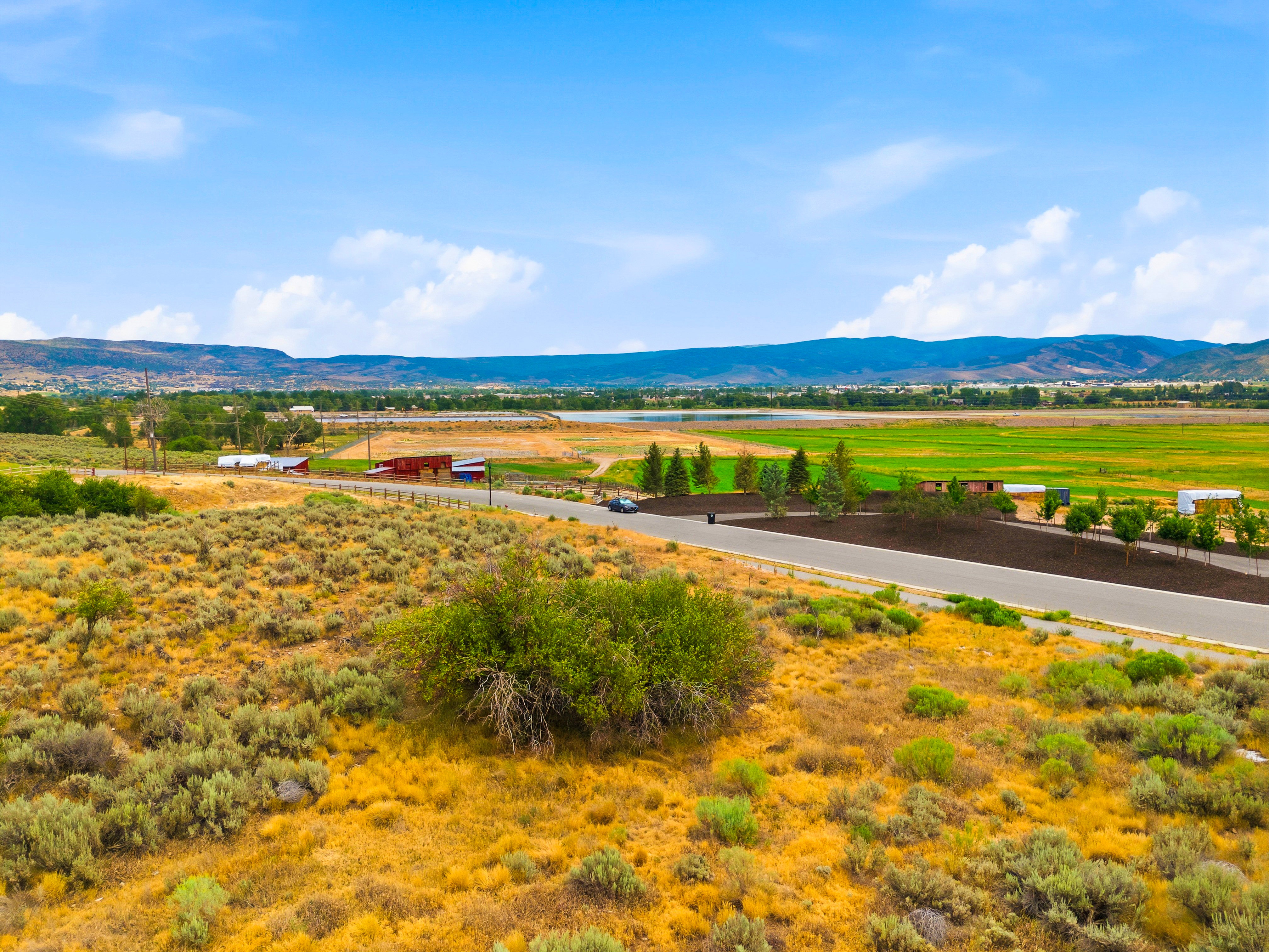 Expansive natural landscape with a paved roadway, mature trees, and mountainous terrain in the distance