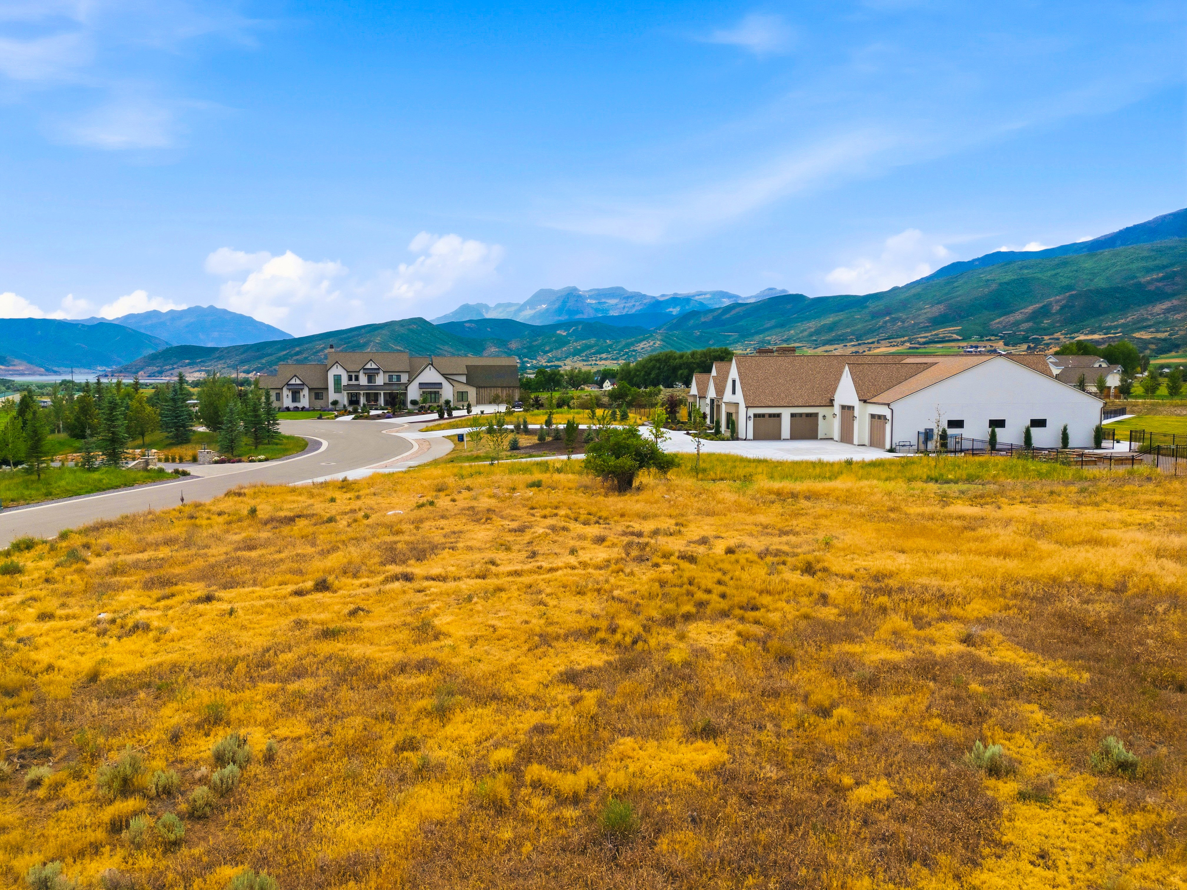 Expansive lot featuring mature natural vegetation, a paved road, and distant mountain scenery