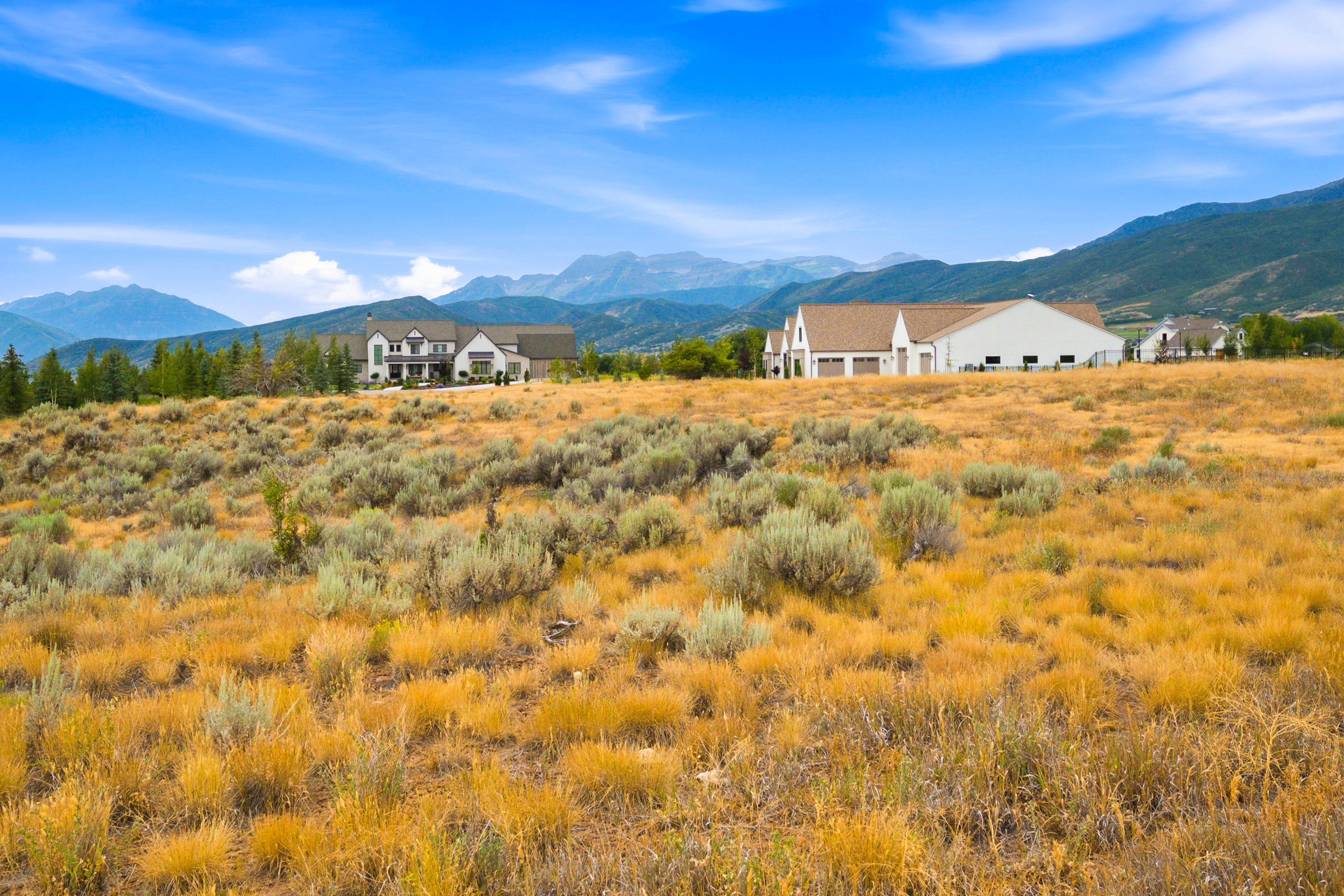 Expansive natural landscape featuring varied grasses and sagebrush, bordered by distant mountains