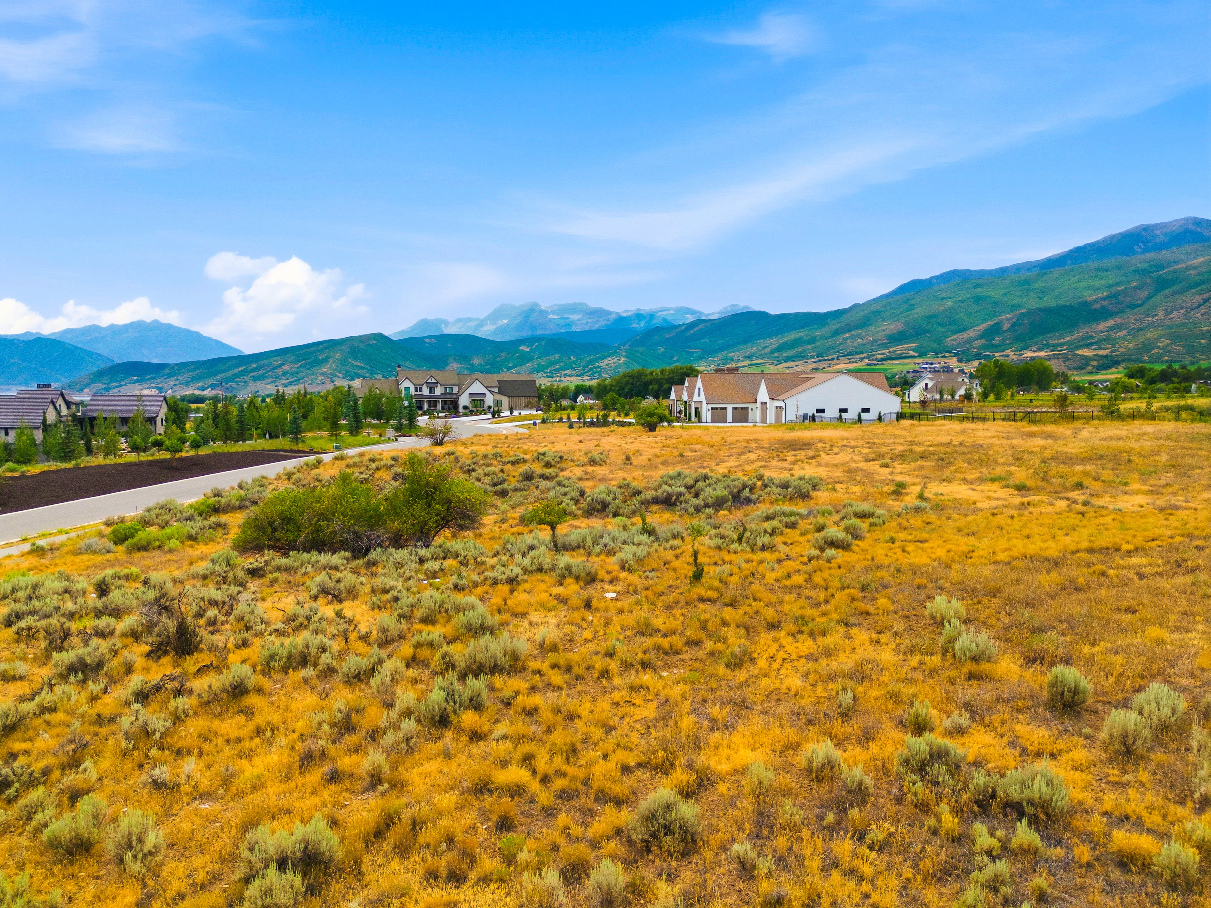 Expansive undeveloped lot featuring natural golden and green vegetation