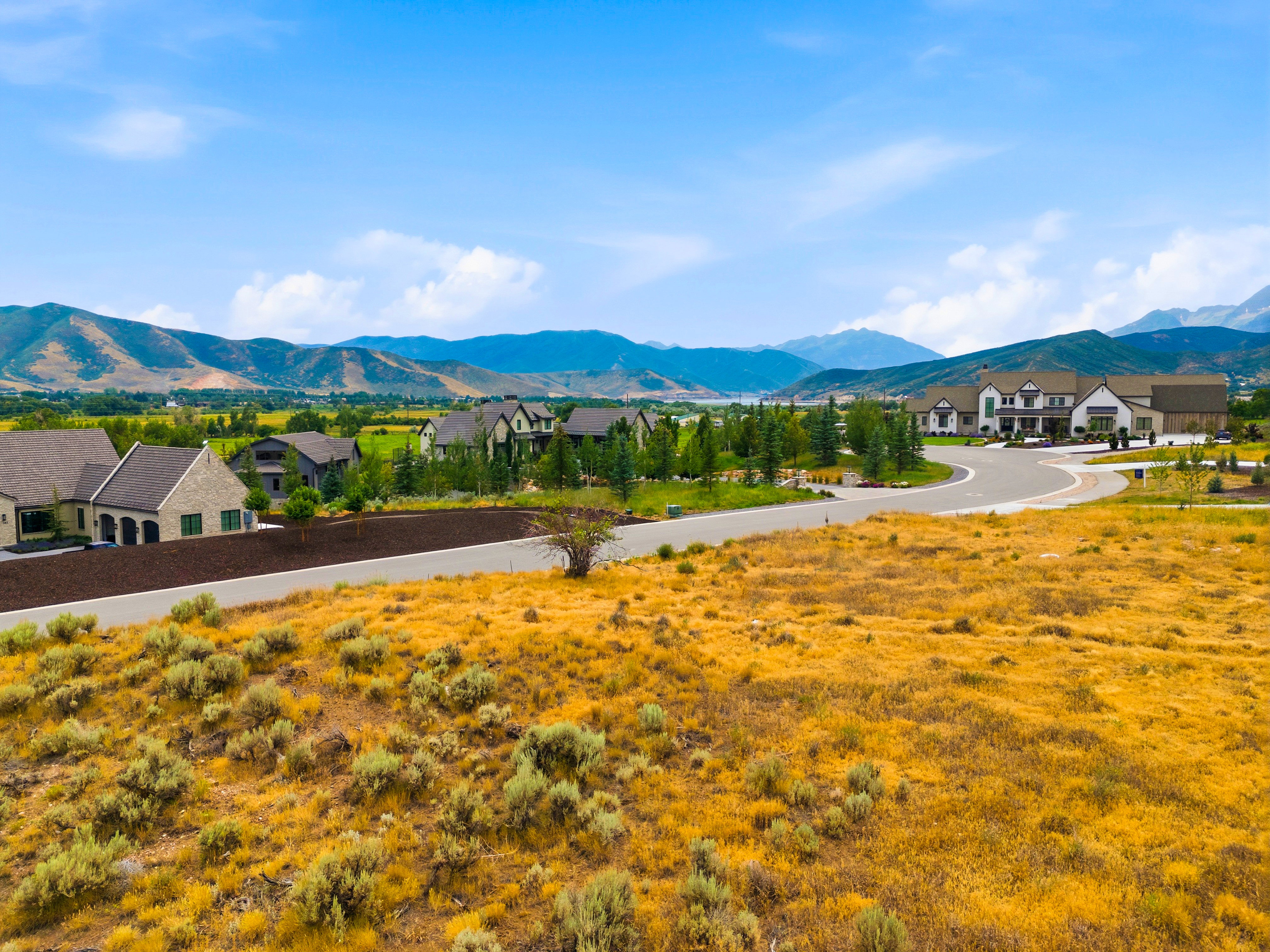 Expansive land parcel featuring natural grasses and shrubbery
