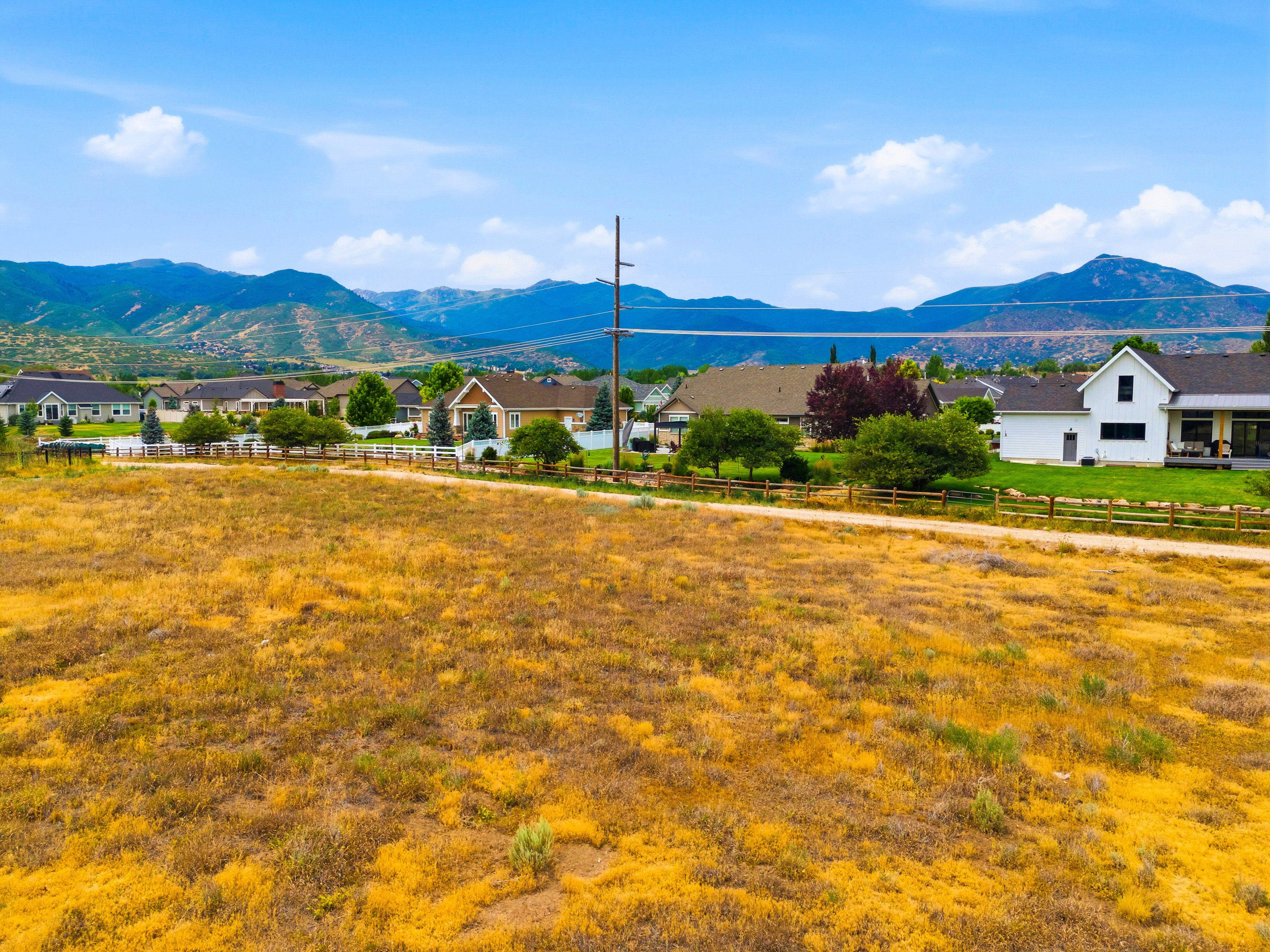 Expansive undeveloped land featuring natural flora