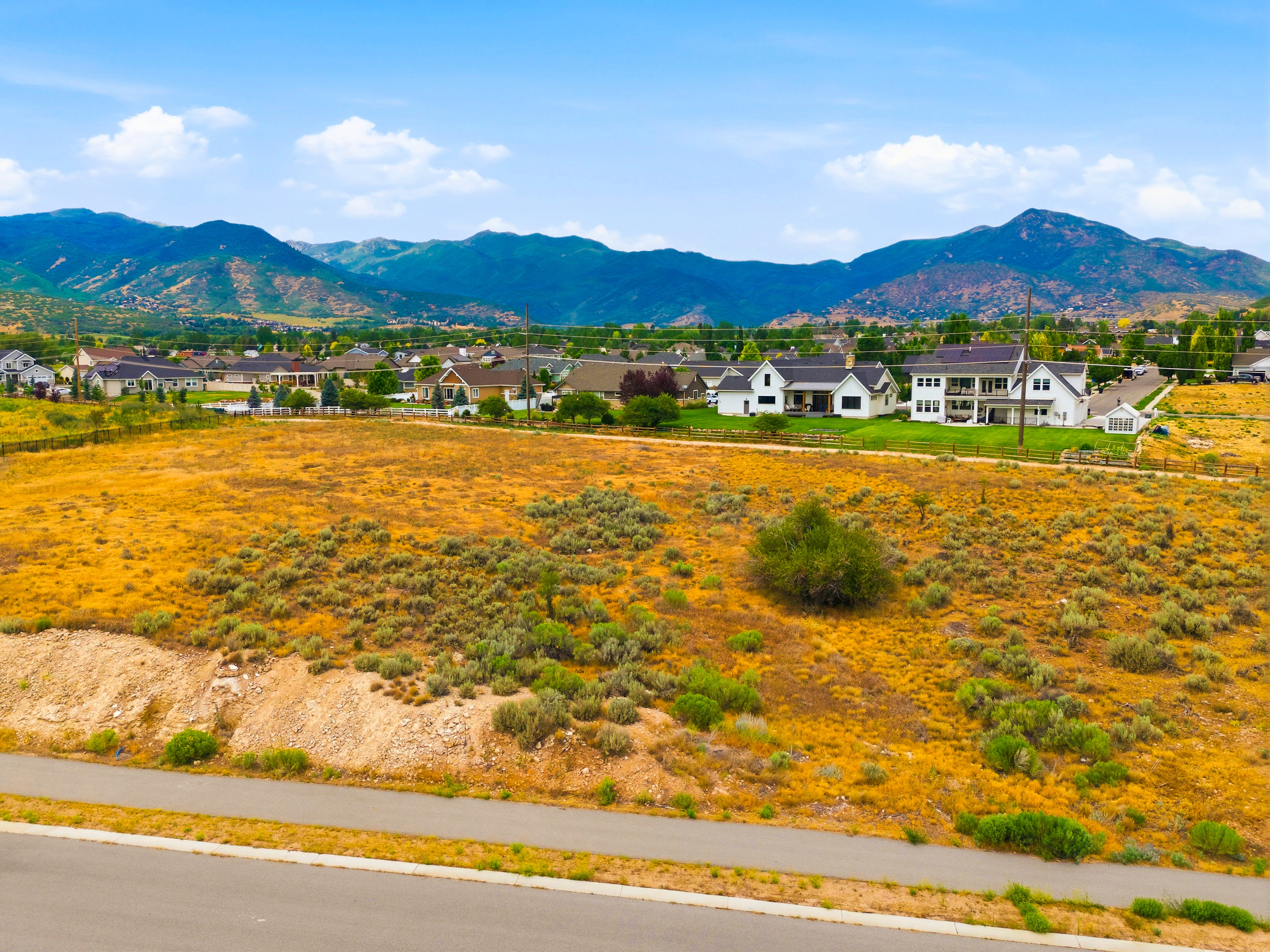 Expansive undeveloped lot featuring natural shrubbery and a clear, level building area