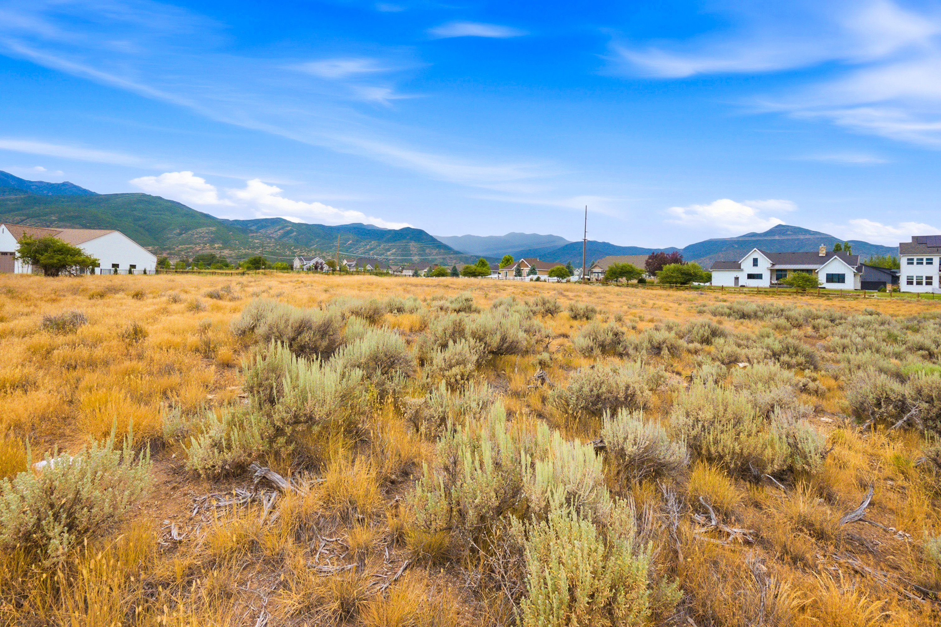 Expansive land parcel featuring natural grasses and shrubbery