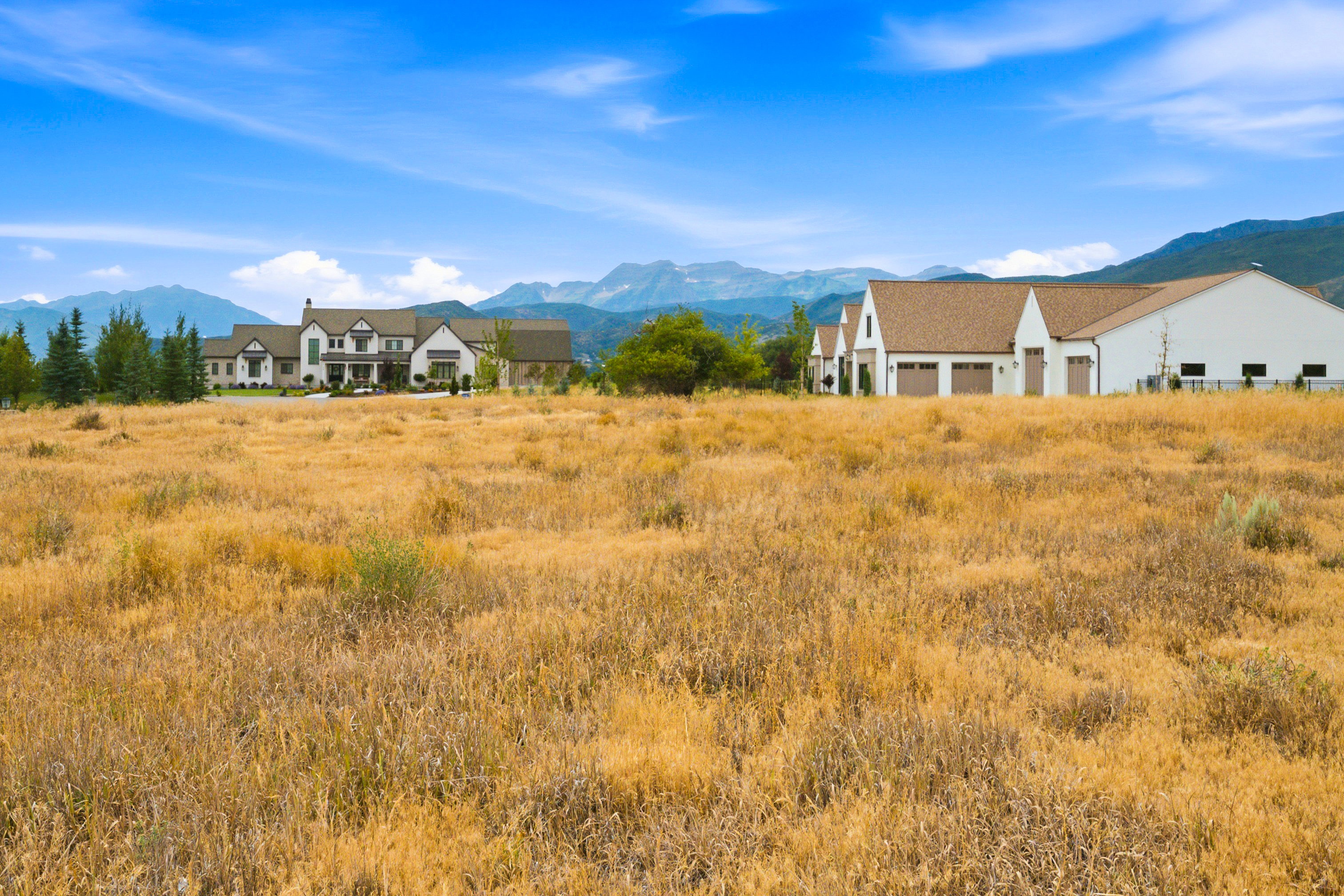 Expansive golden field with distant mountain ranges