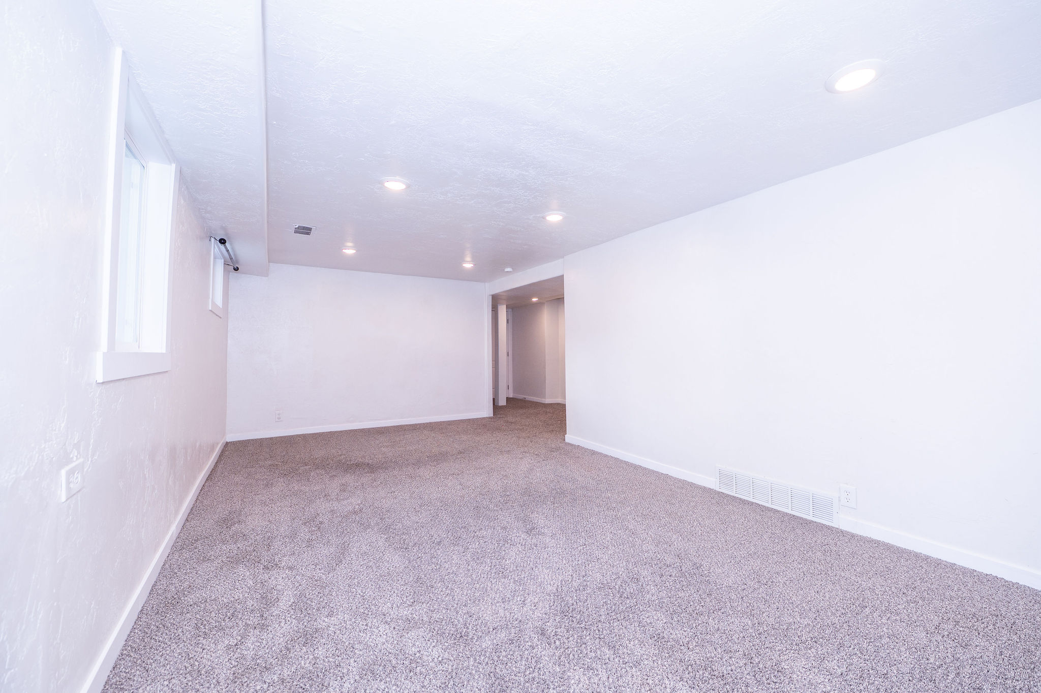 Family Room Downstairs