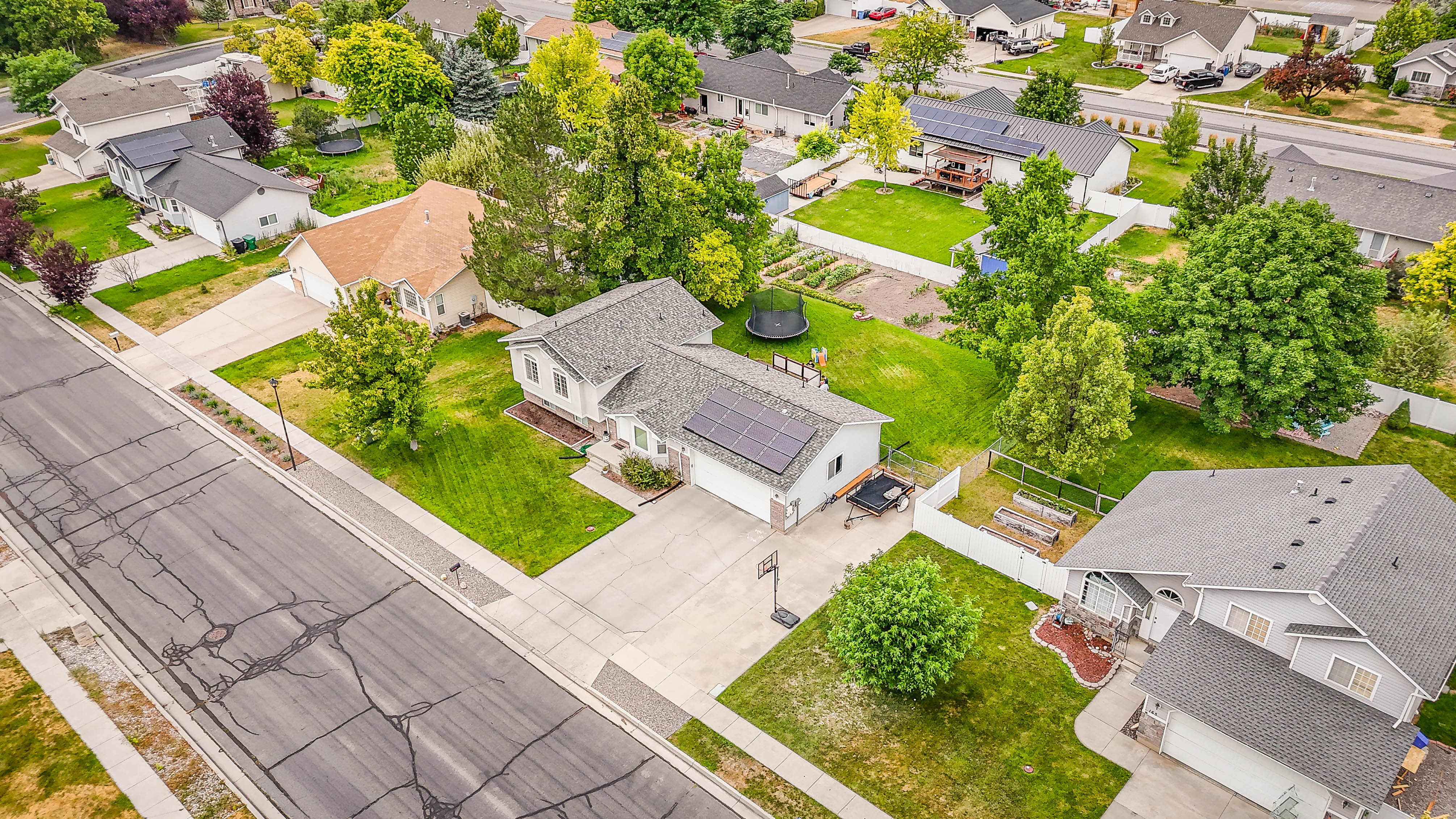 Single-family residence featuring a concrete driveway, attached garage, and solar panels on the roof