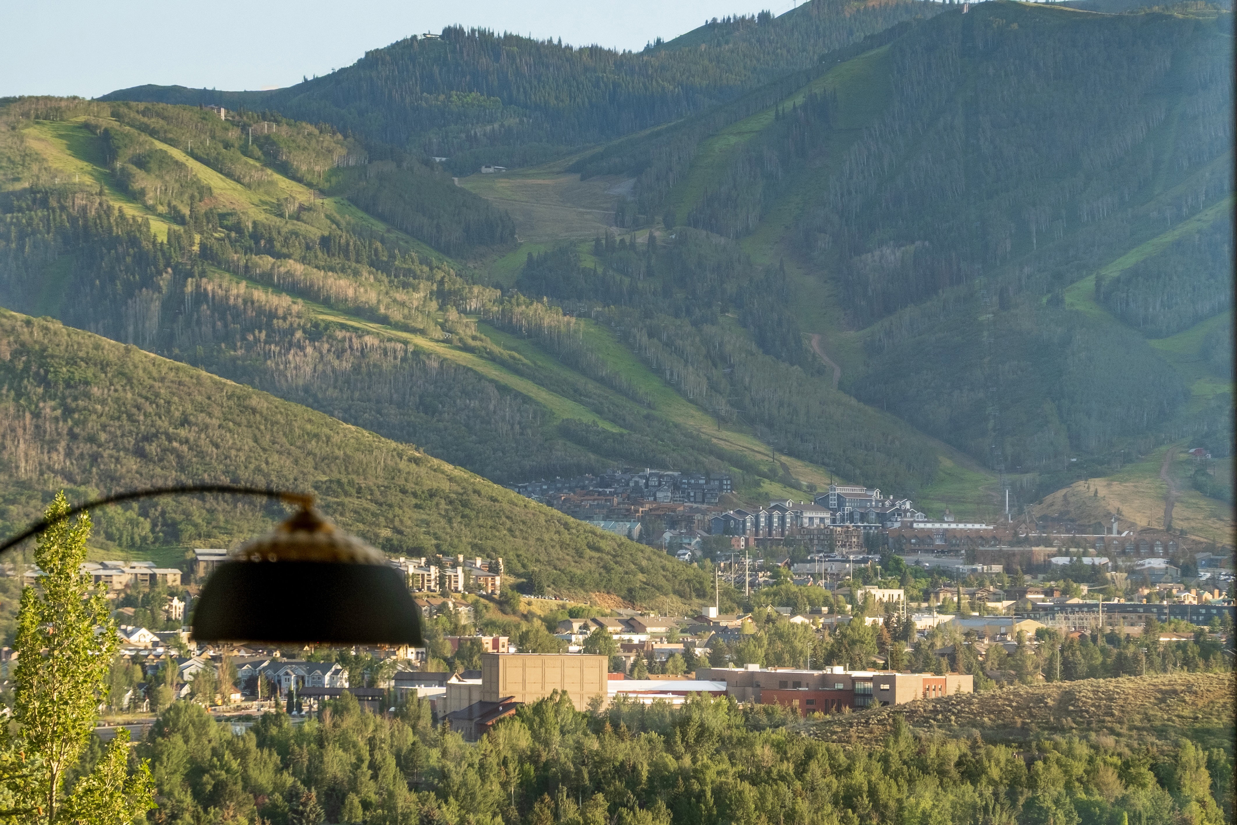 Mountainous terrain featuring diverse tree coverage and distant structures