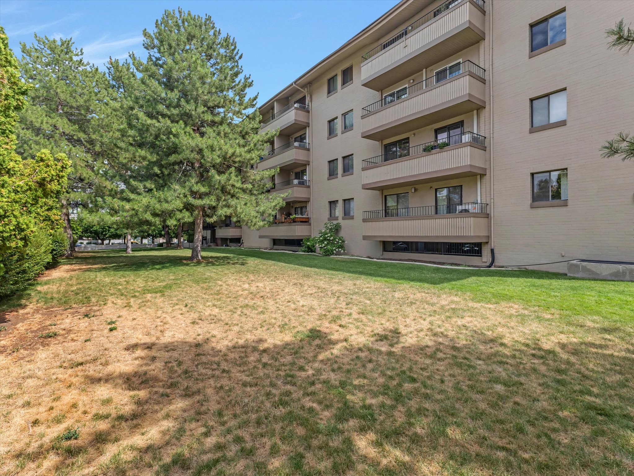 Big yard space!