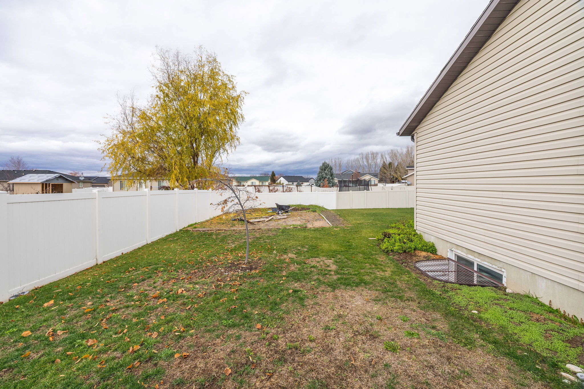 Expansive backyard featuring a white vinyl privacy fence, established green lawn, and mature trees