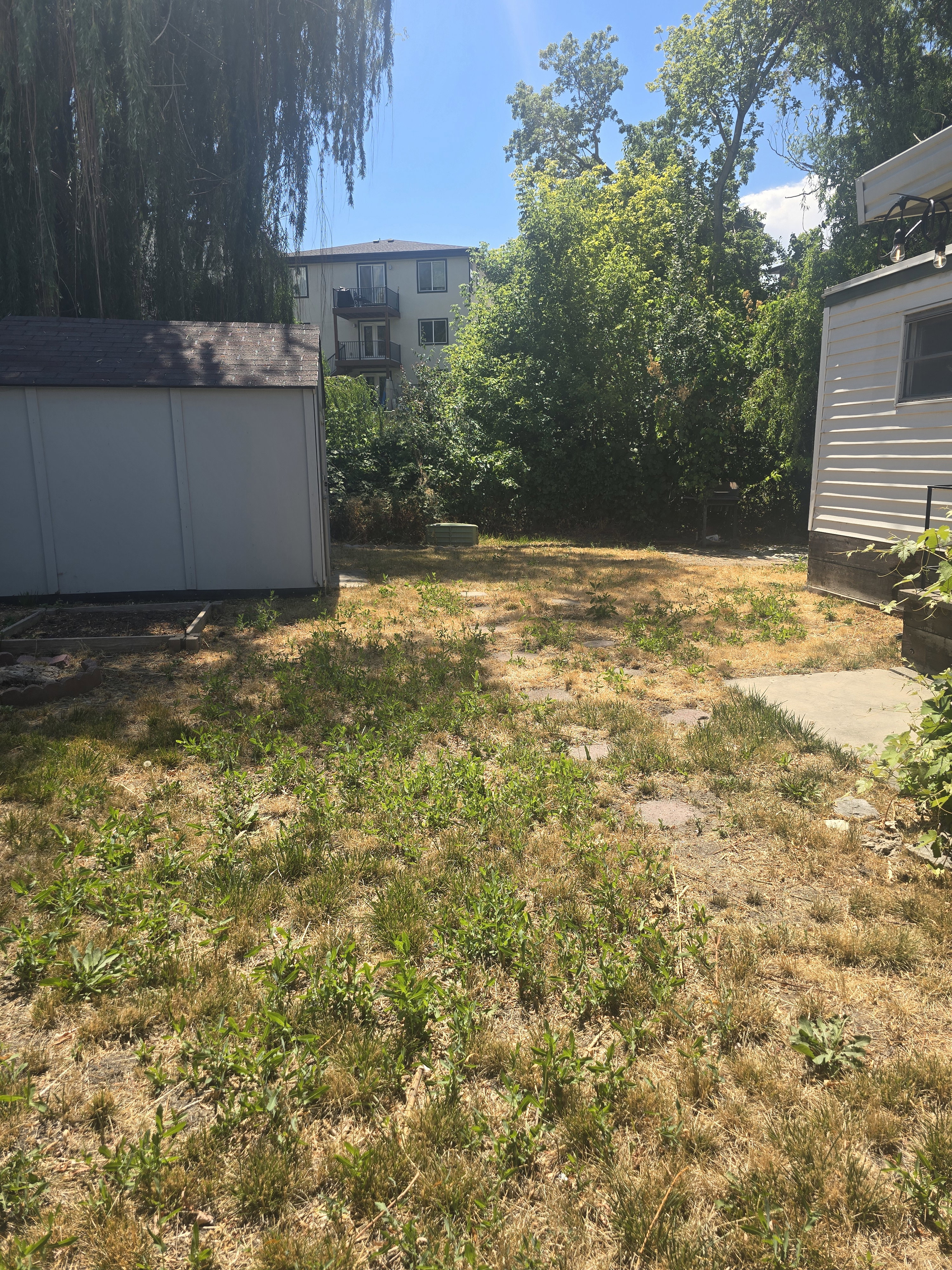 Expansive yard space featuring a storage shed, concrete patio area, and mature perimeter foliage