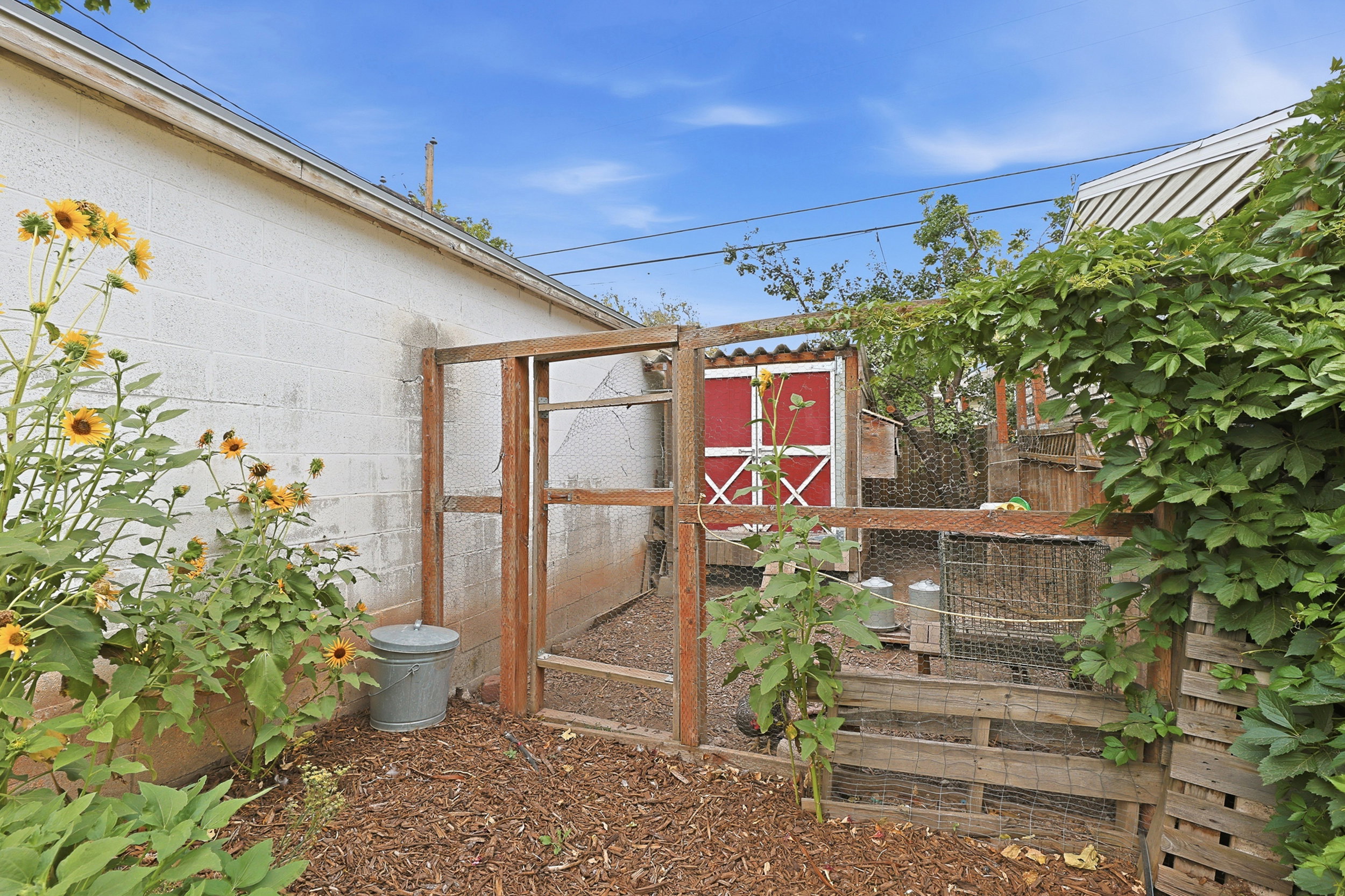 Chicken coop