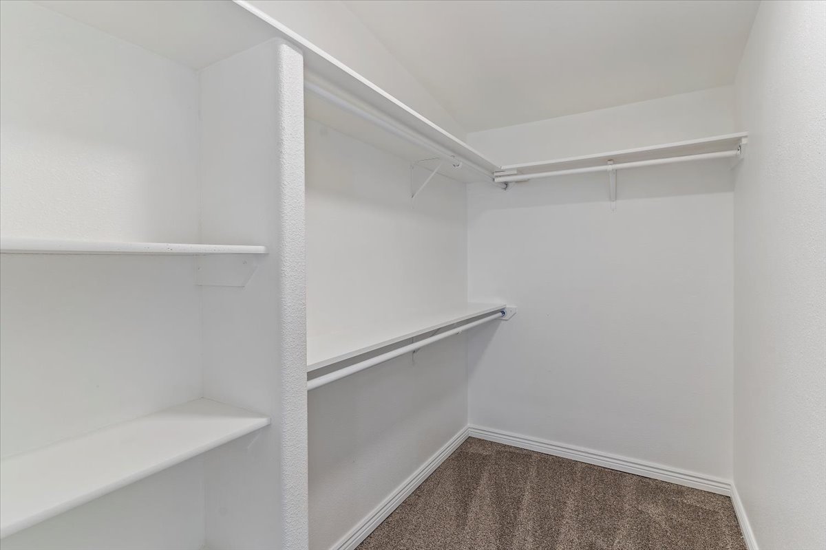 Walk-in closet with built-in shelving, multiple hanging rods, white trim, and neutral-toned carpet flooring