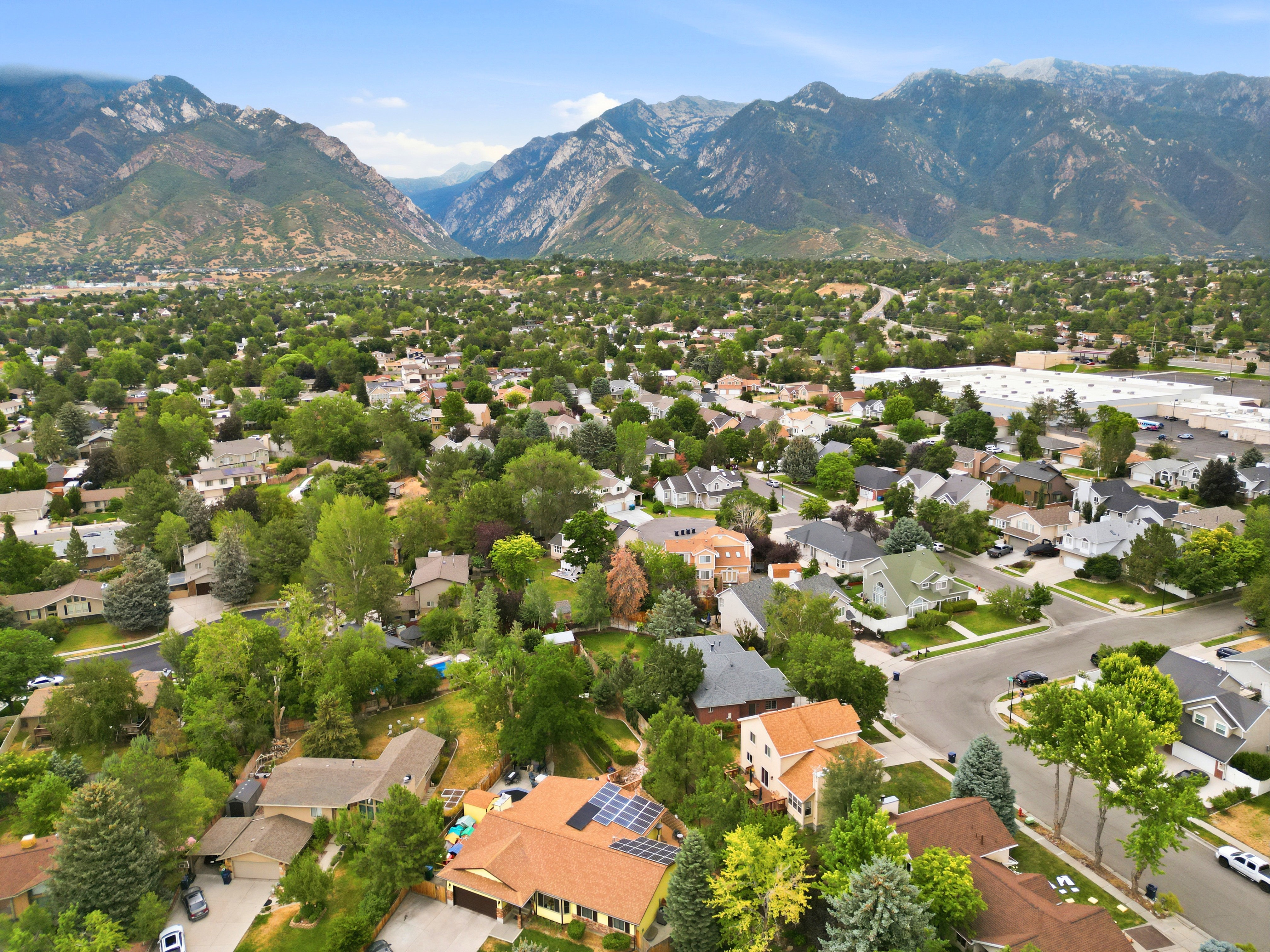 Expansive neighborhood with mature tree coverage and mountainous backdrop