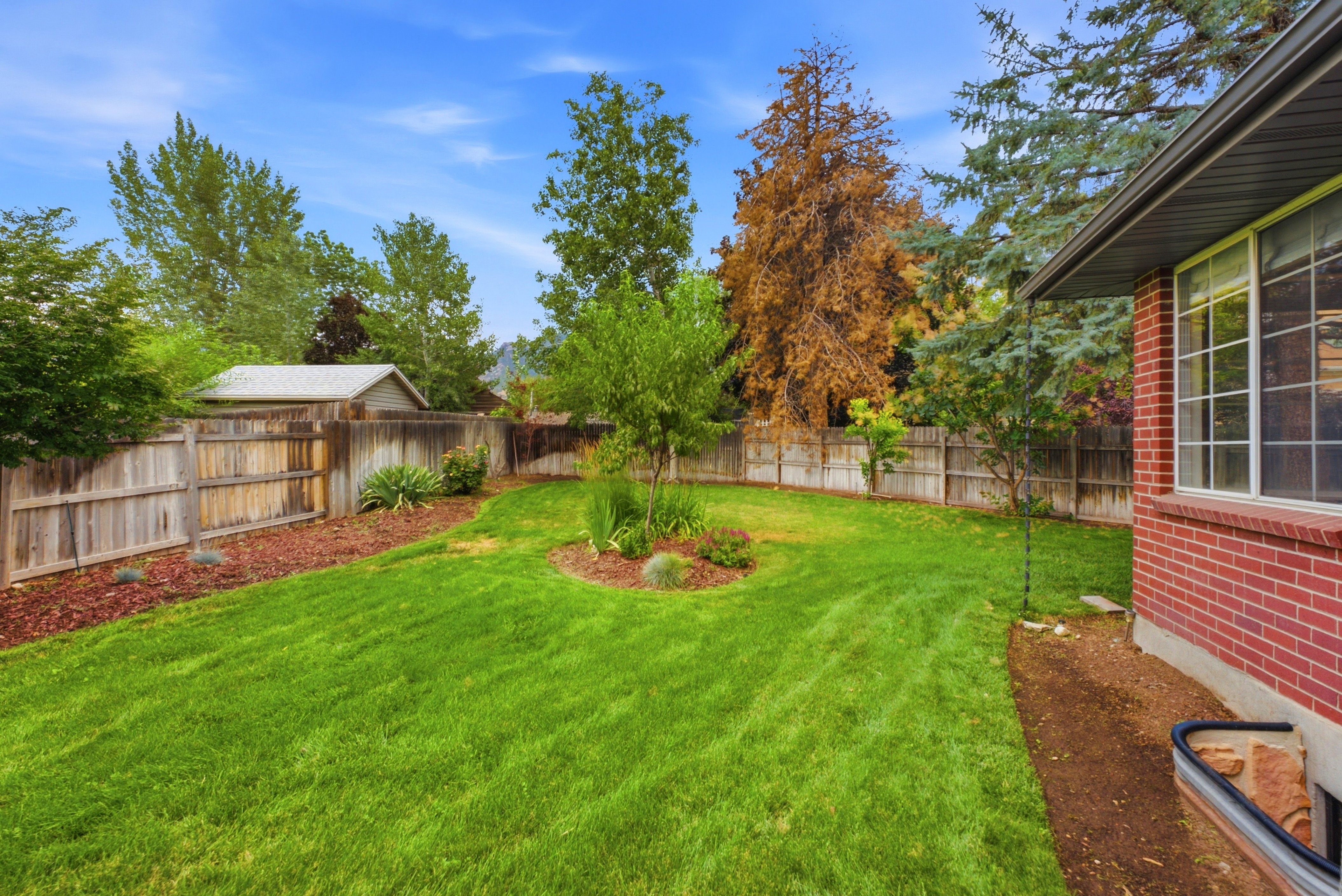 Expansive backyard featuring mature trees, manicured lawn, and fully fenced yard. Perfect for entertaining!
