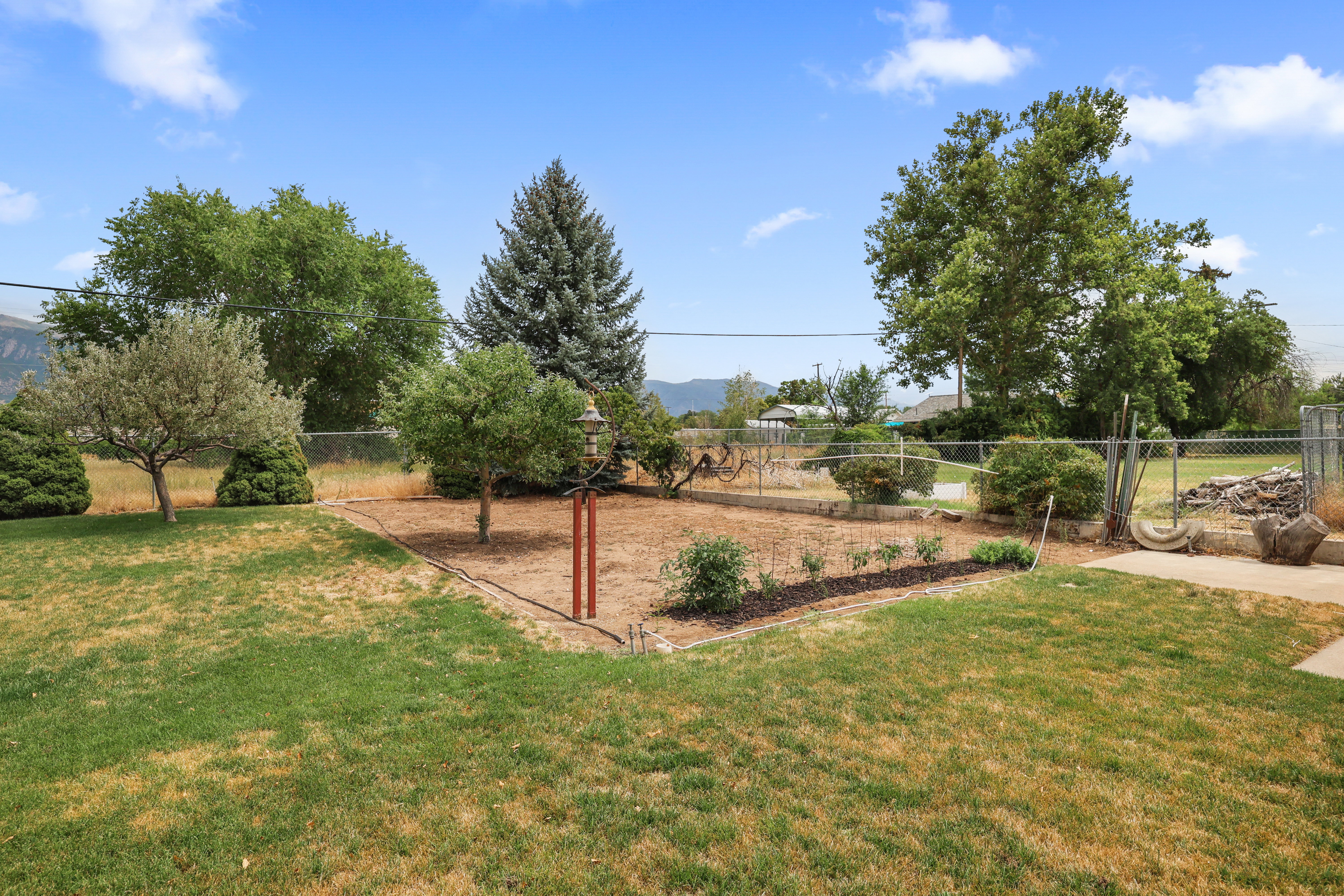 Expansive backyard featuring a large lawn, mature trees, established shrubbery, and a concrete patio section