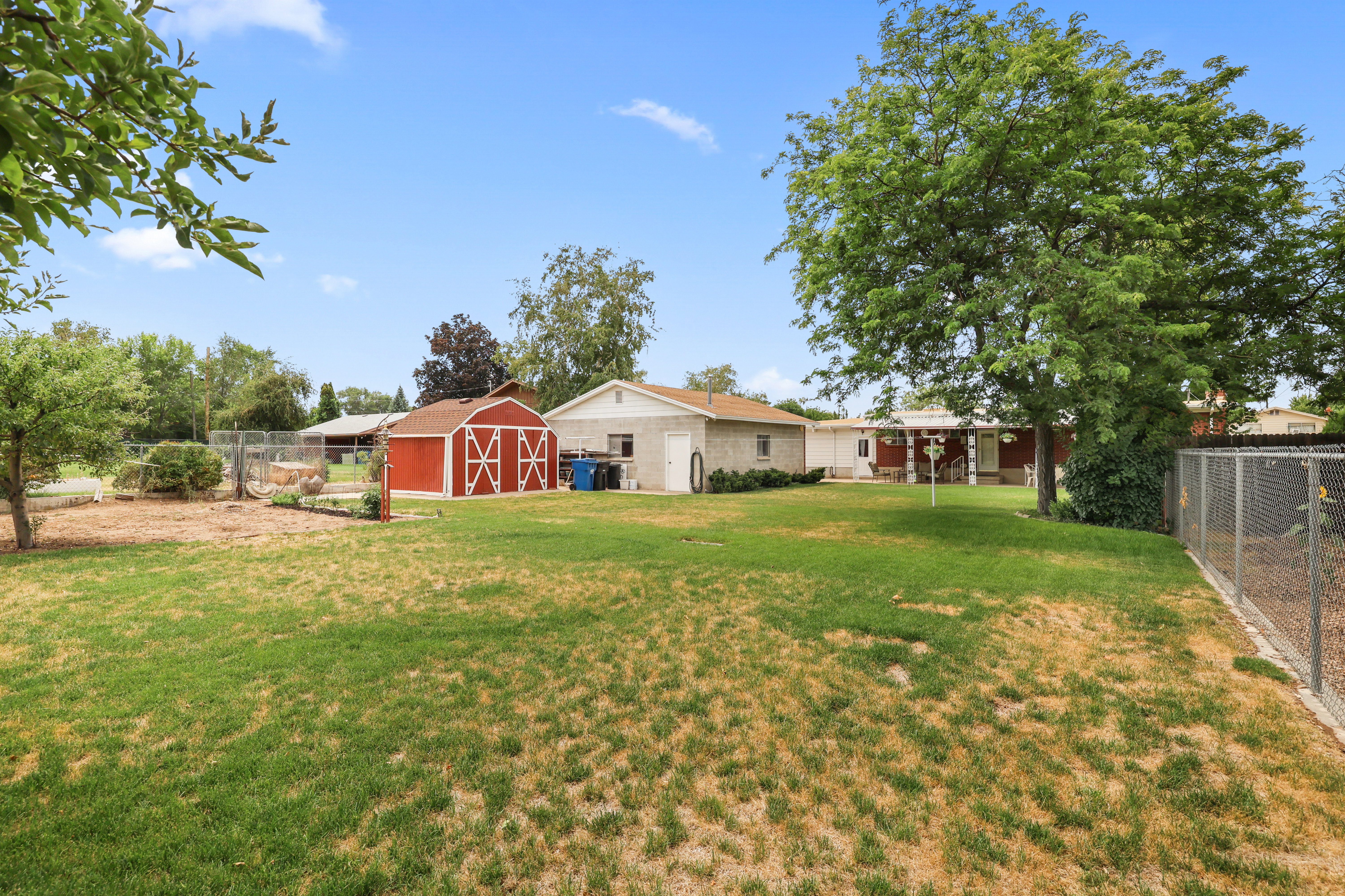 Expansive green space featuring a large shade tree, a red barn-style shed, and chain-link fencing