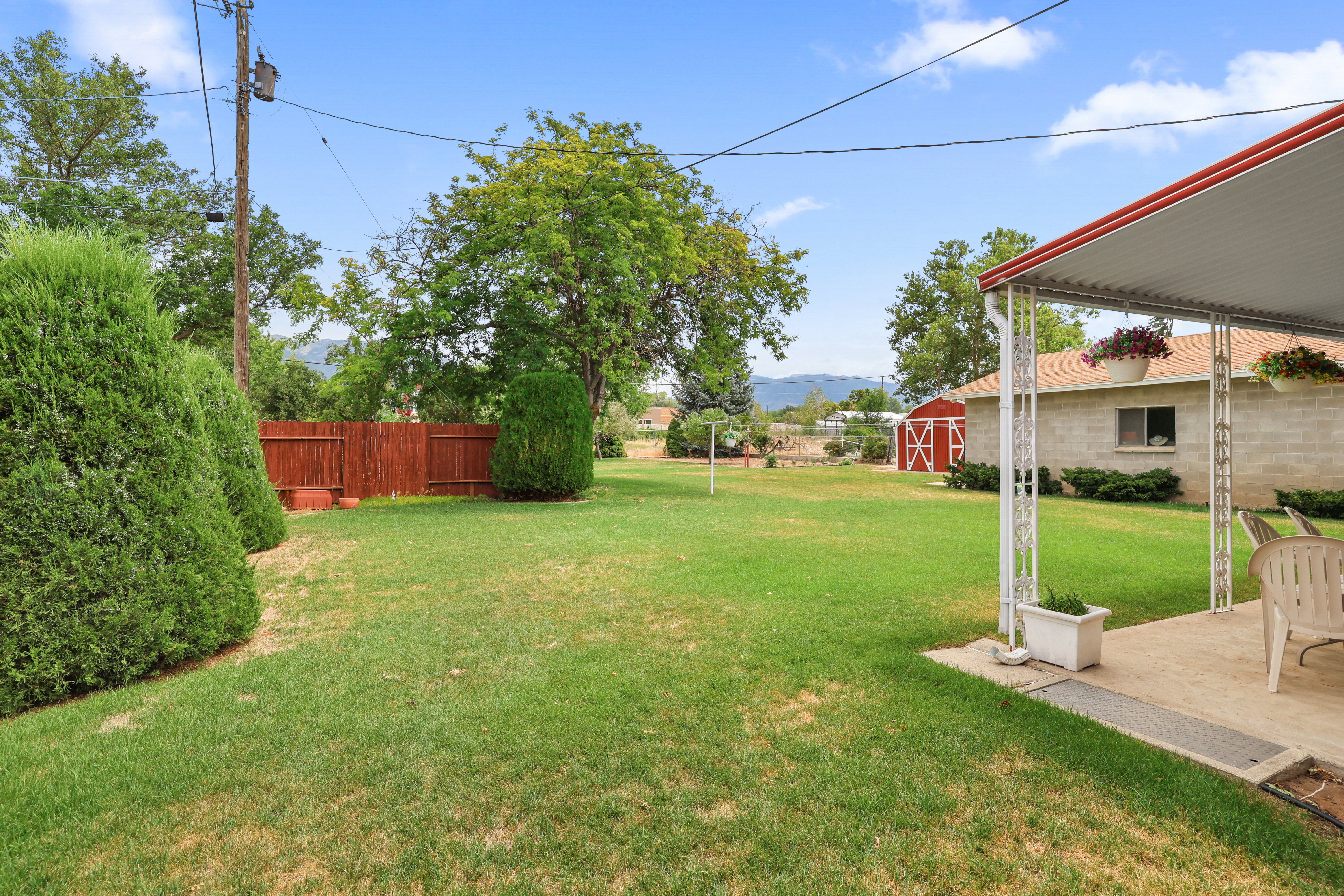 Expansive backyard featuring a large green lawn, covered patio, privacy fencing, mature landscaping, and a red storage shed