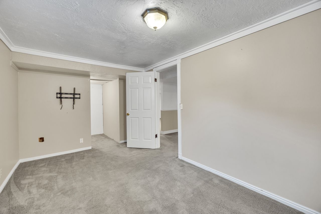Interior room featuring light gray carpeting, neutral wall paint, and white trim