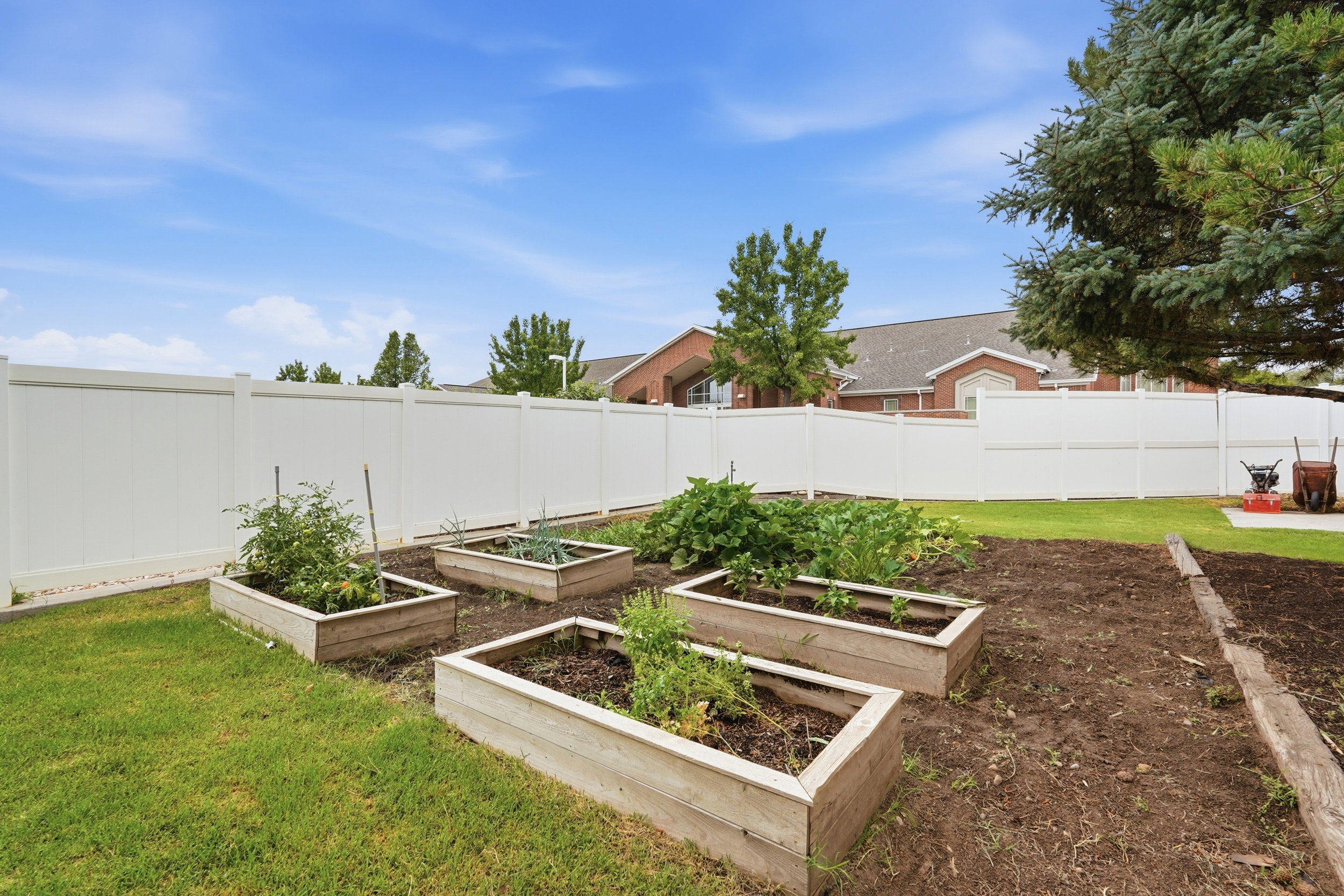 Spacious backyard featuring multiple raised garden beds, a groomed lawn, and a tall white privacy fence
