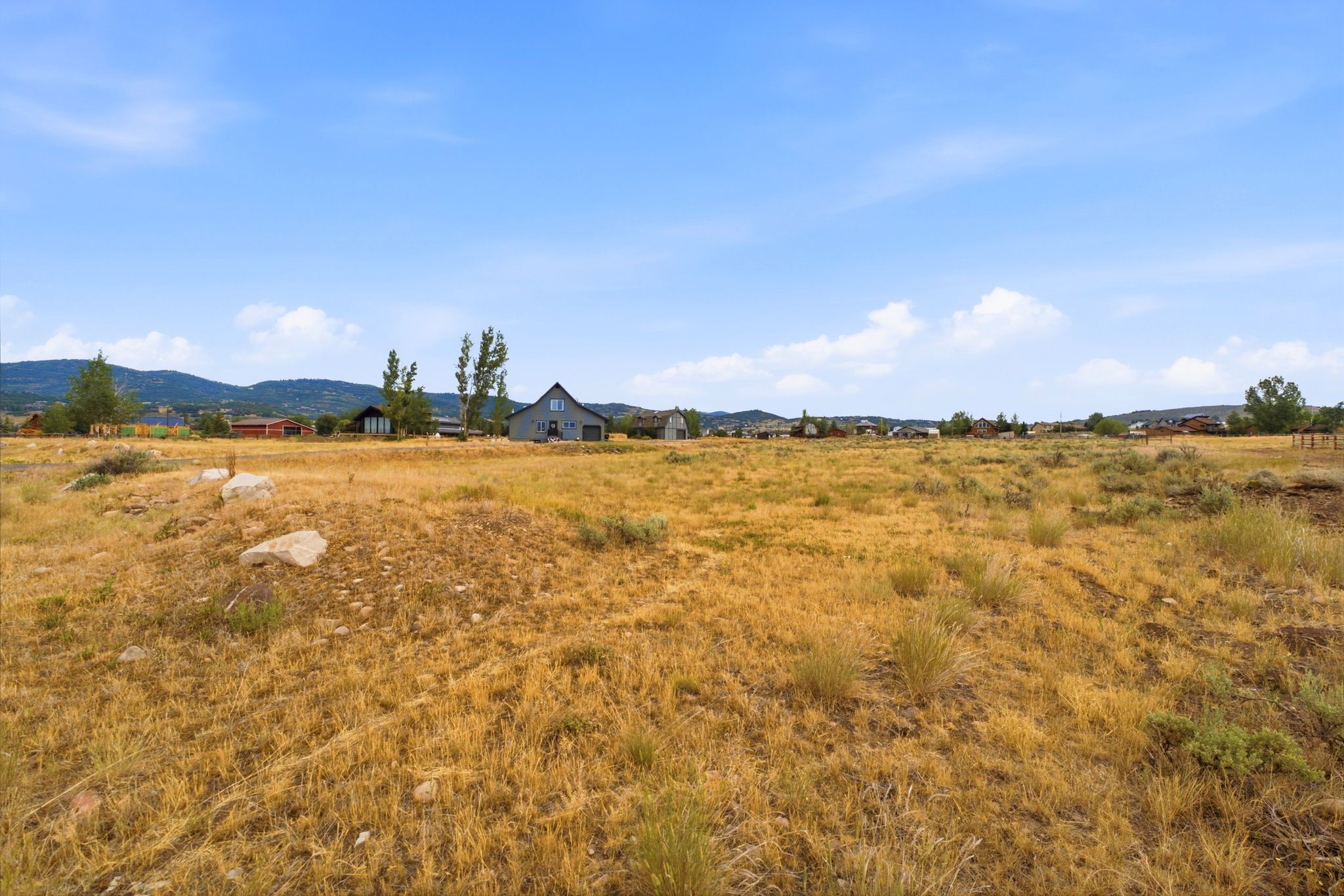 Expansive open land with a distinct horizon, featuring scattered shrubbery and natural rock formations