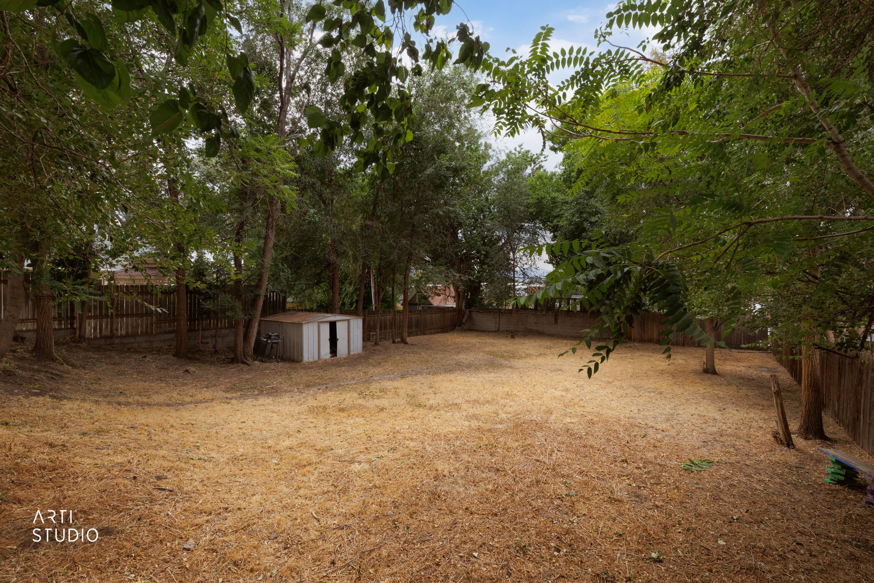 Expansive backyard featuring a storage shed, established trees, and perimeter fencing