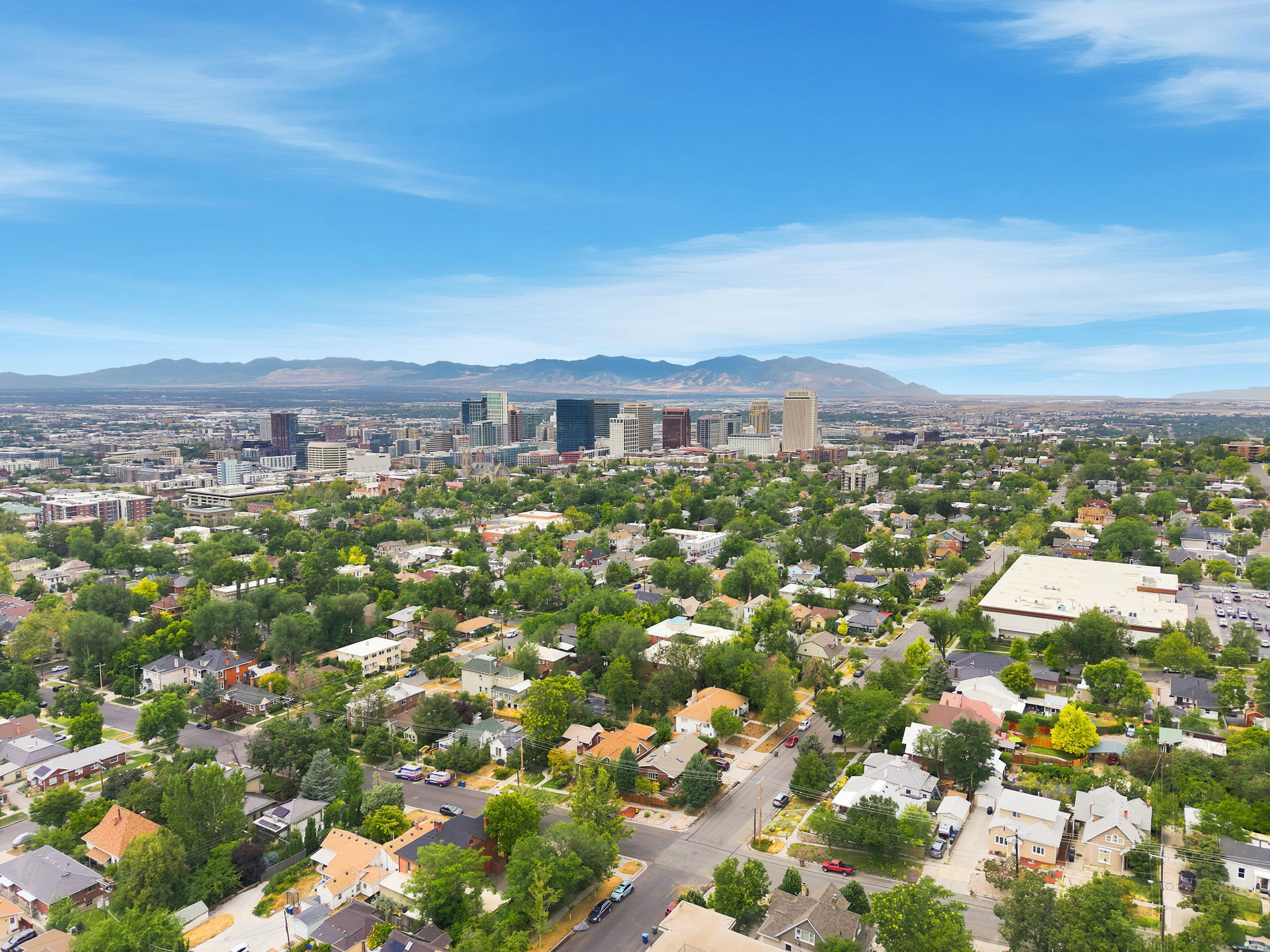 Aerial perspective showcasing a residential area with varied rooflines and extensive tree cover, set against a backdrop of a distant cityscape and mountain range under a clear sky