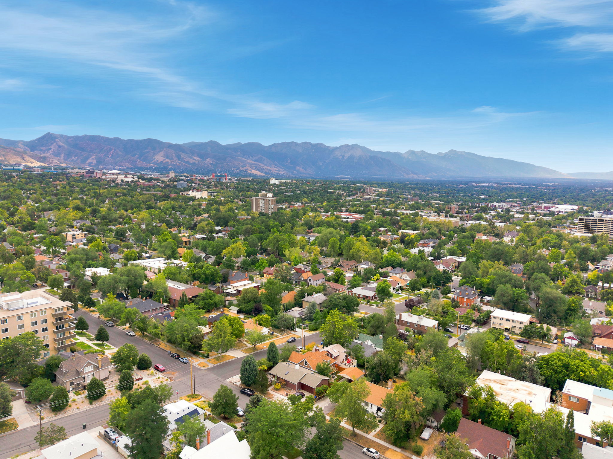 Expansive urban landscape featuring a mix of residential and commercial buildings, mature trees, and mountainous scenery