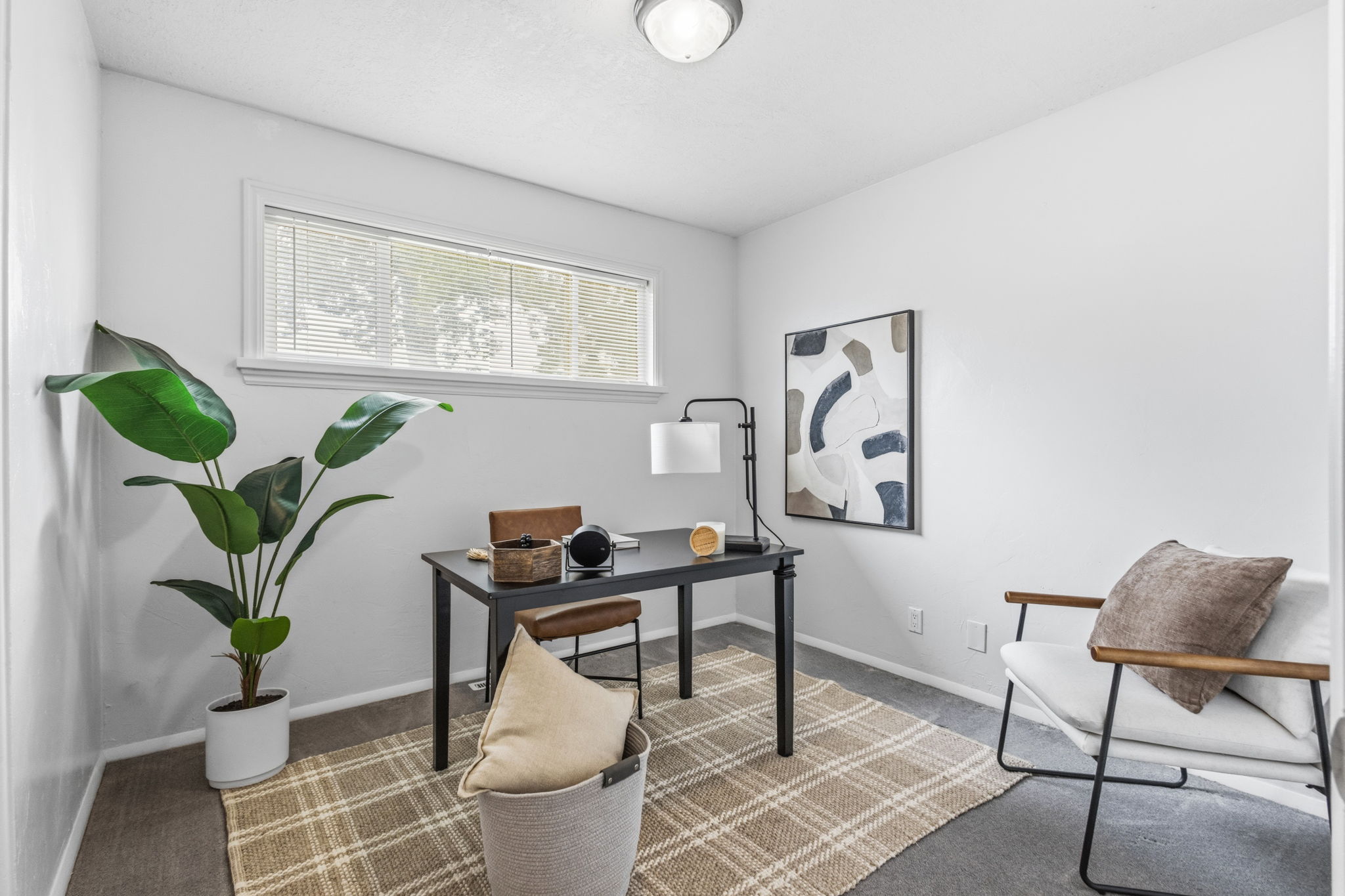 Bright room featuring a horizontal window with blinds, carpet flooring, and white painted walls