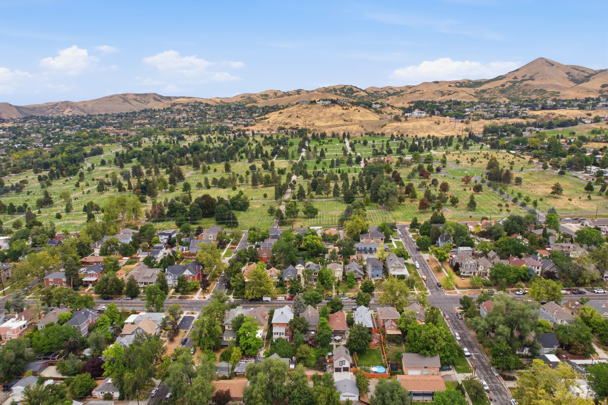 Aerial perspective showcasing a residential area with mature trees and established homes