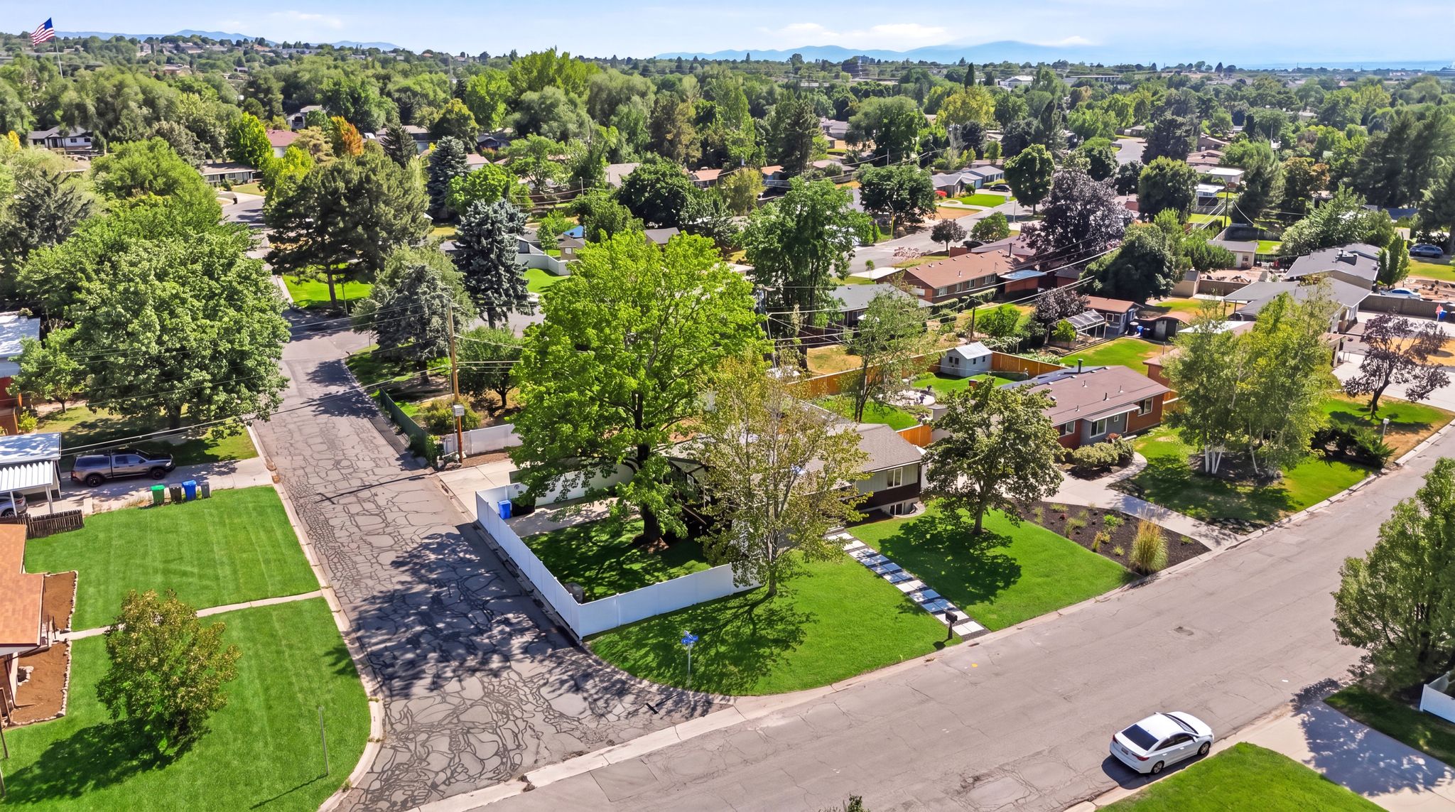 Residential neighborhood featuring established trees and single-story homes