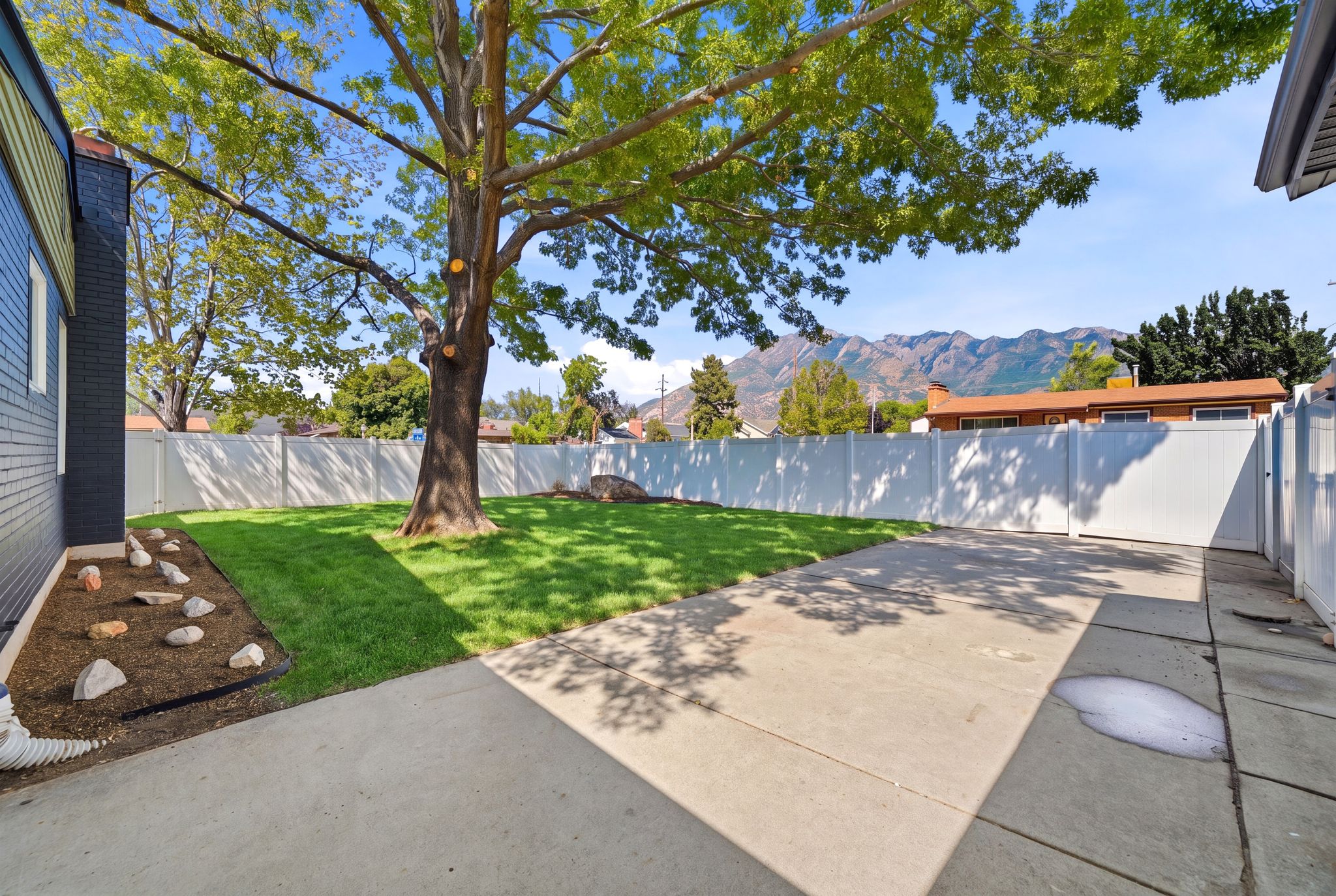 Expansive backyard featuring a manicured lawn, established tree, concrete patio, and a privacy fence