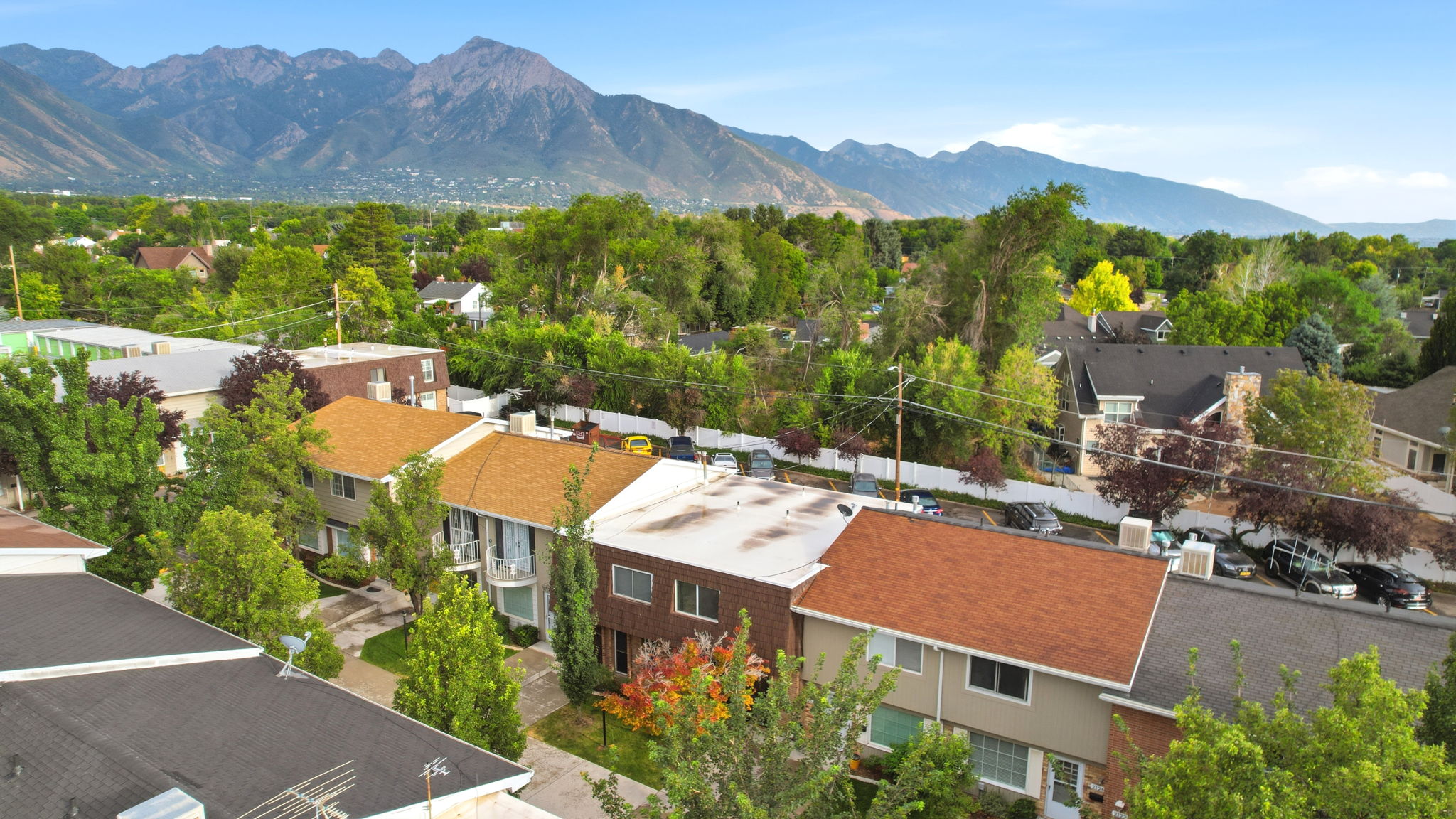 Residential street featuring multiple properties with varied architectural styles and mature trees