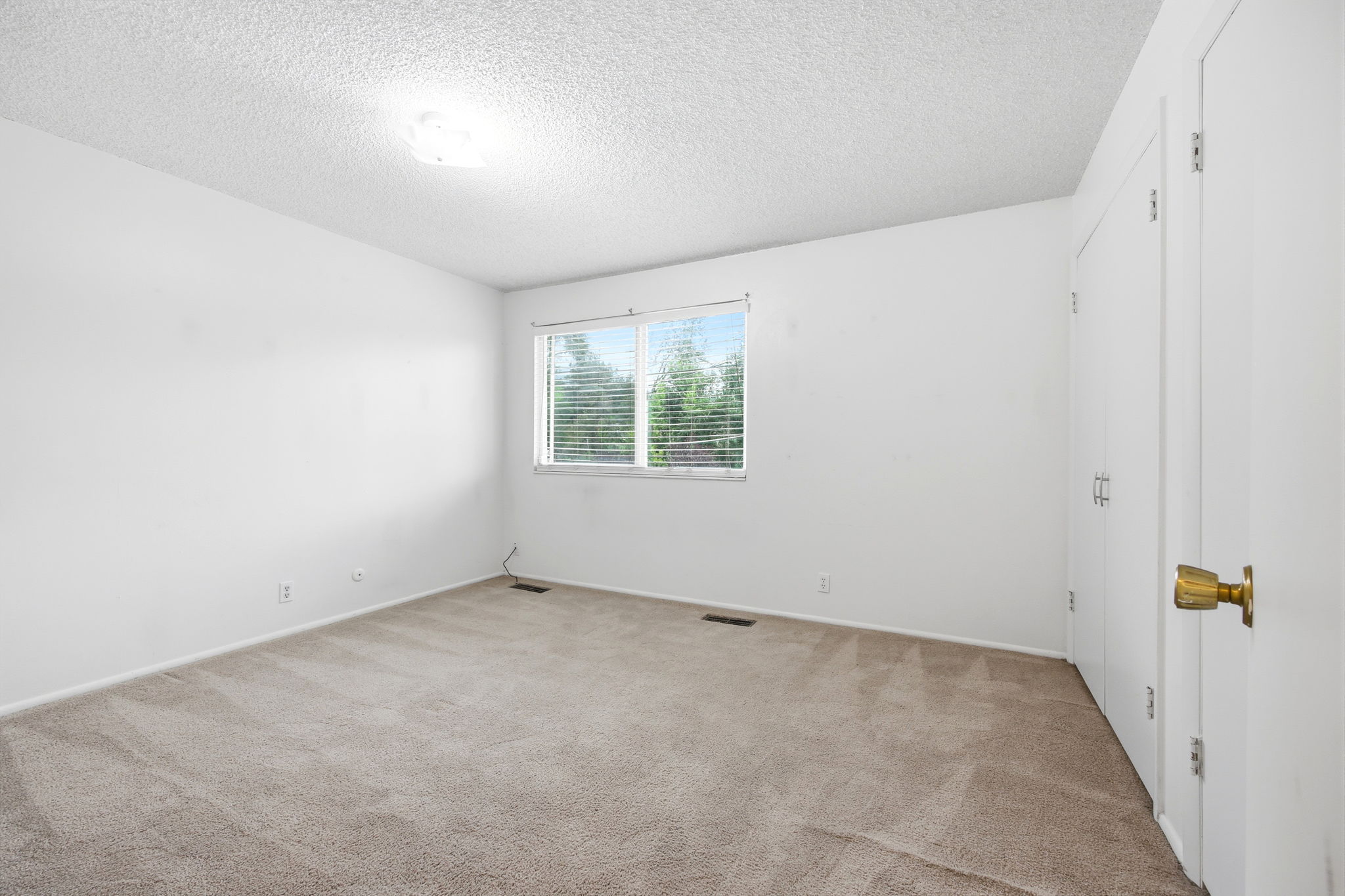 Bright room featuring light beige carpet, white walls, and a window with horizontal blinds