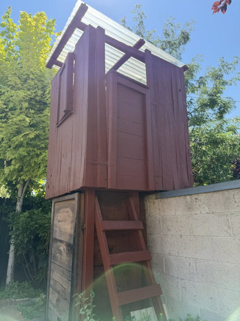 Freestanding wooden structure featuring a red-stained finish, a ladder access point, and a translucent corrugated roof