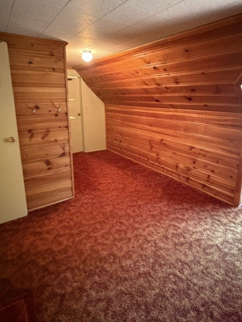 Bedroom with walk-in closet, featuring wood paneling on walls, textured carpet flooring, and a ceiling-mounted light fixture