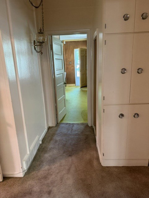 Hallway featuring carpet flooring, built-in cabinetry with circular hardware, a wall-mounted light fixture, and white painted trim