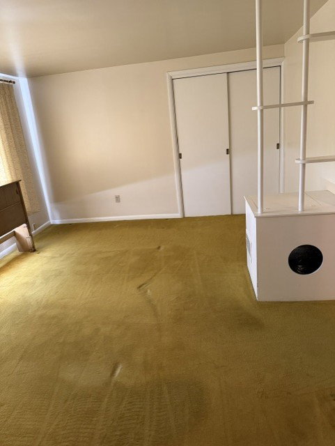Room featuring mustard yellow carpeting, white painted walls, a built-in shelving unit, and a window with vertical blinds