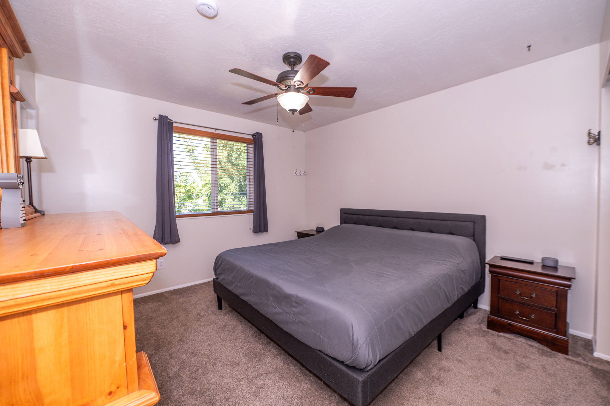 Carpeted bedroom featuring a ceiling fan with integrated lighting, a window with blinds, and white walls