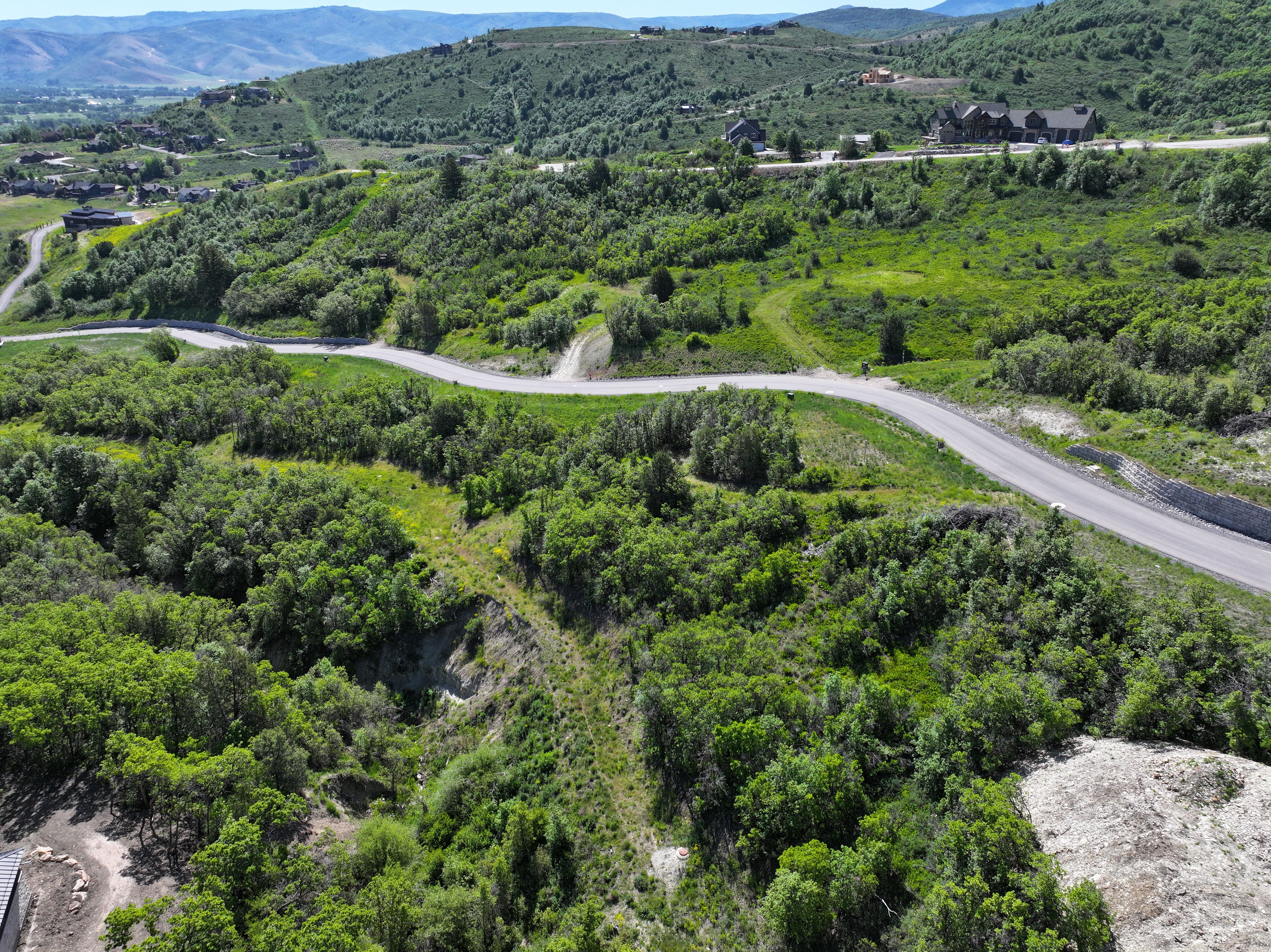 Expansive undeveloped land featuring a paved road, mountainous backdrop, and abundant mature trees
