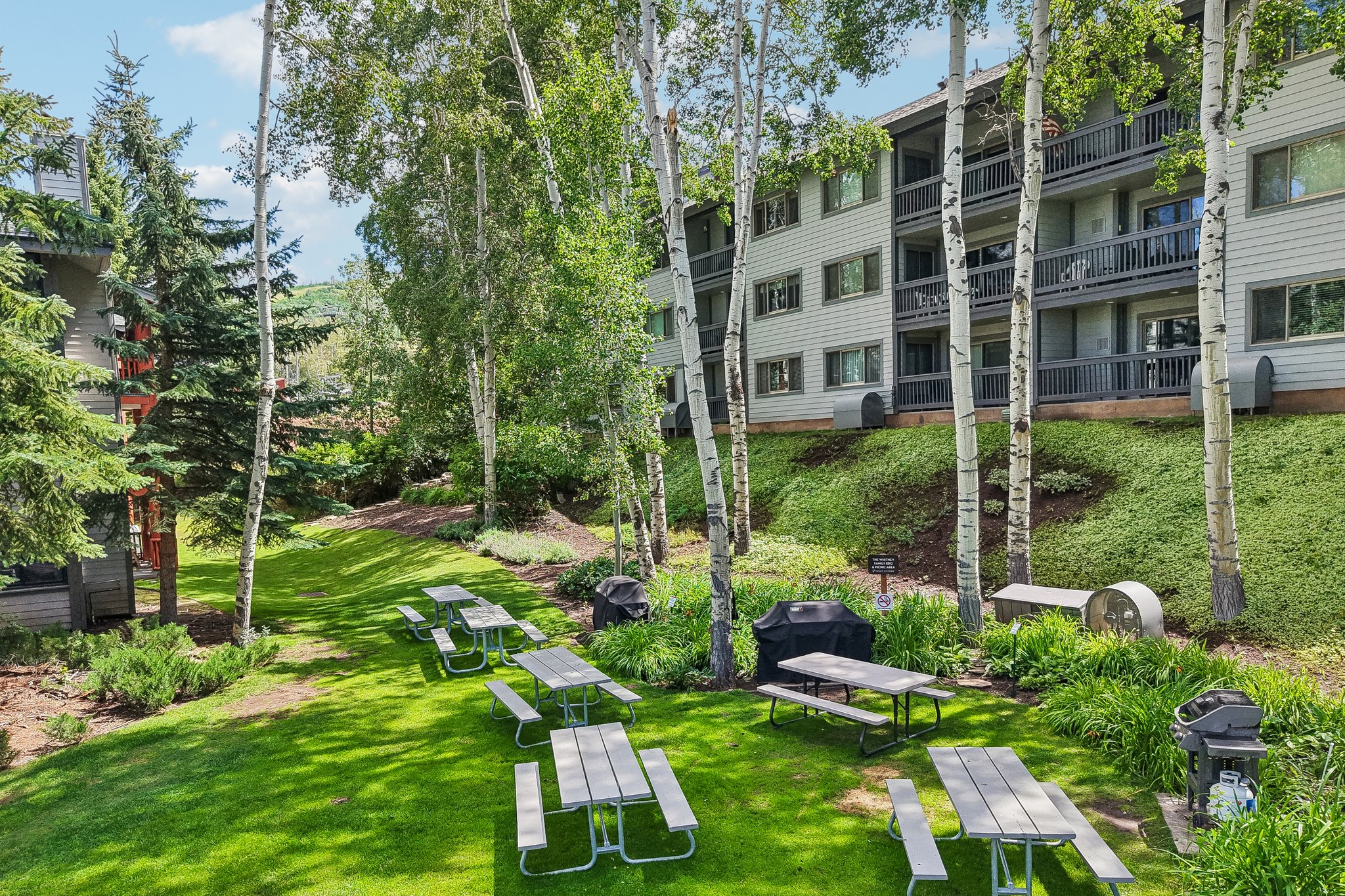 Expansive grassy outdoor area featuring multiple picnic tables and barbecue grills set among mature trees
