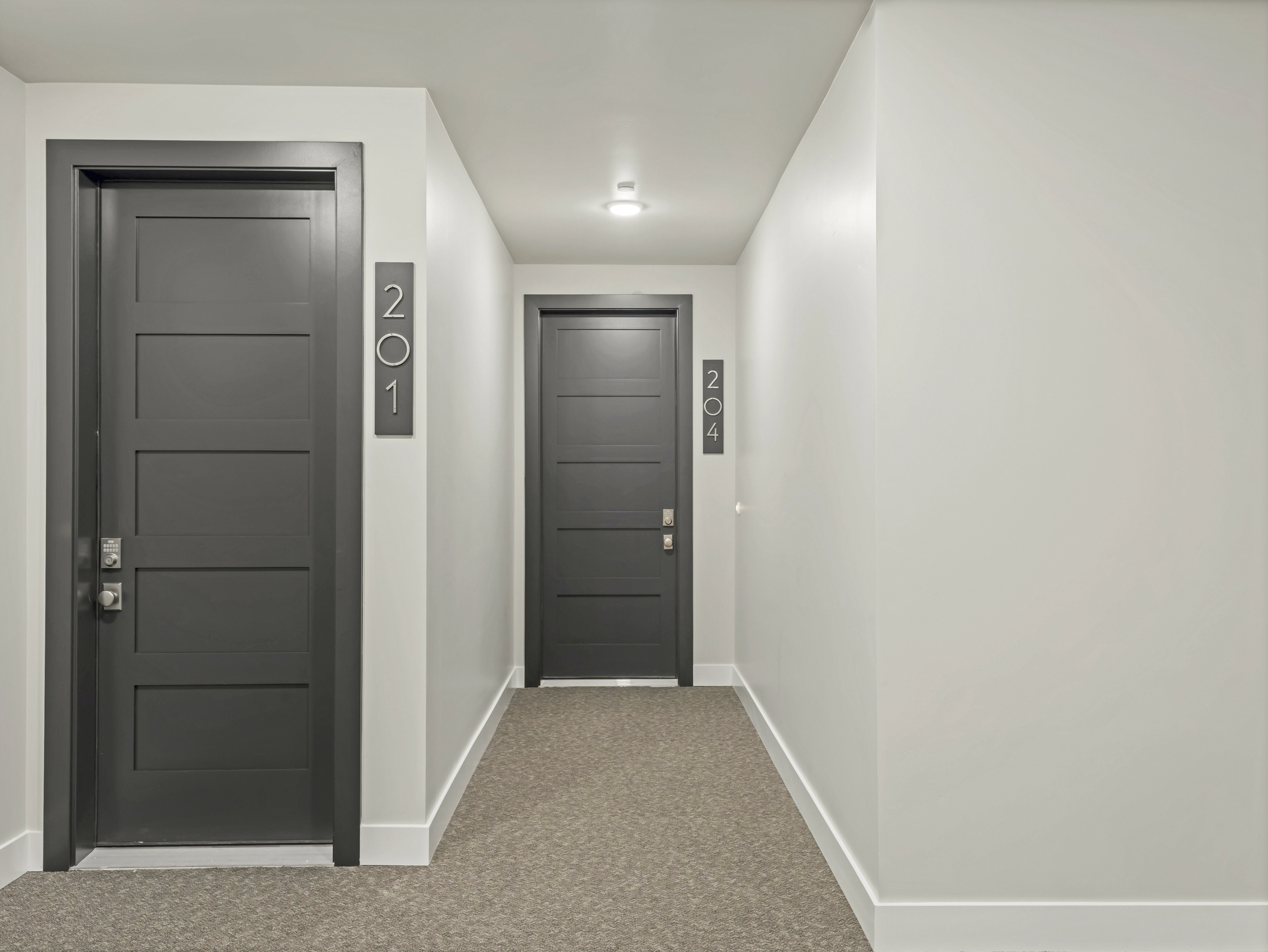 Hallway featuring light gray walls, dark gray panel doors, contemporary door hardware, plush carpeting, and white baseboards